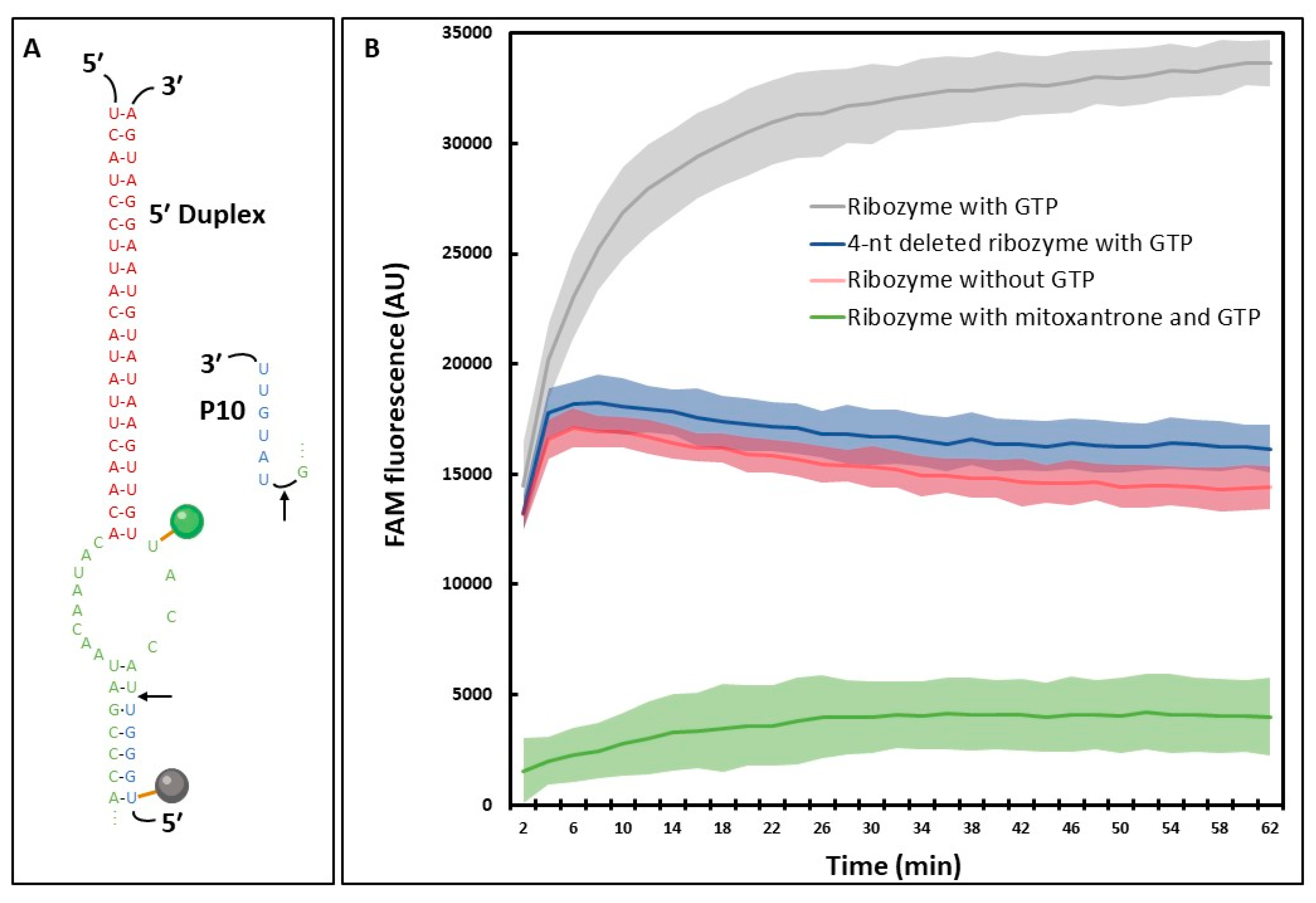 Molecules 28 04460 g005