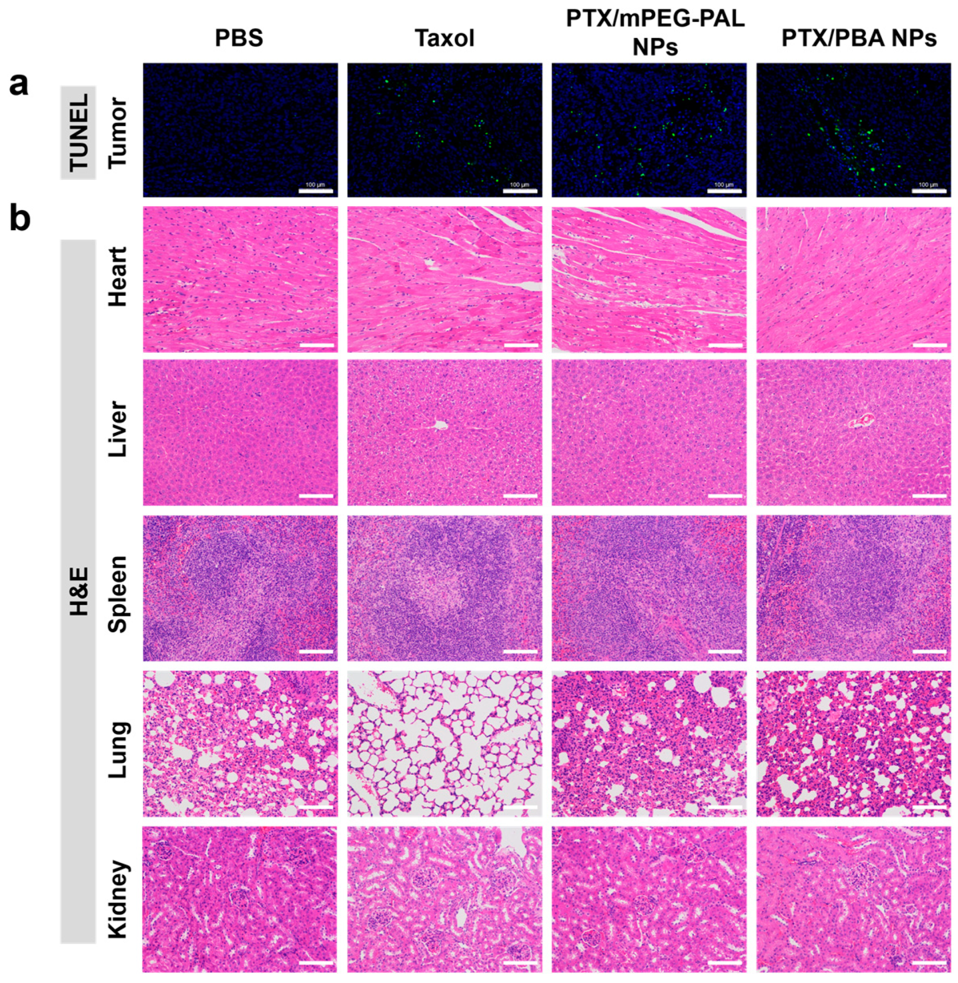 Molecules 28 04461 g008 Molecules 28 04461 g008