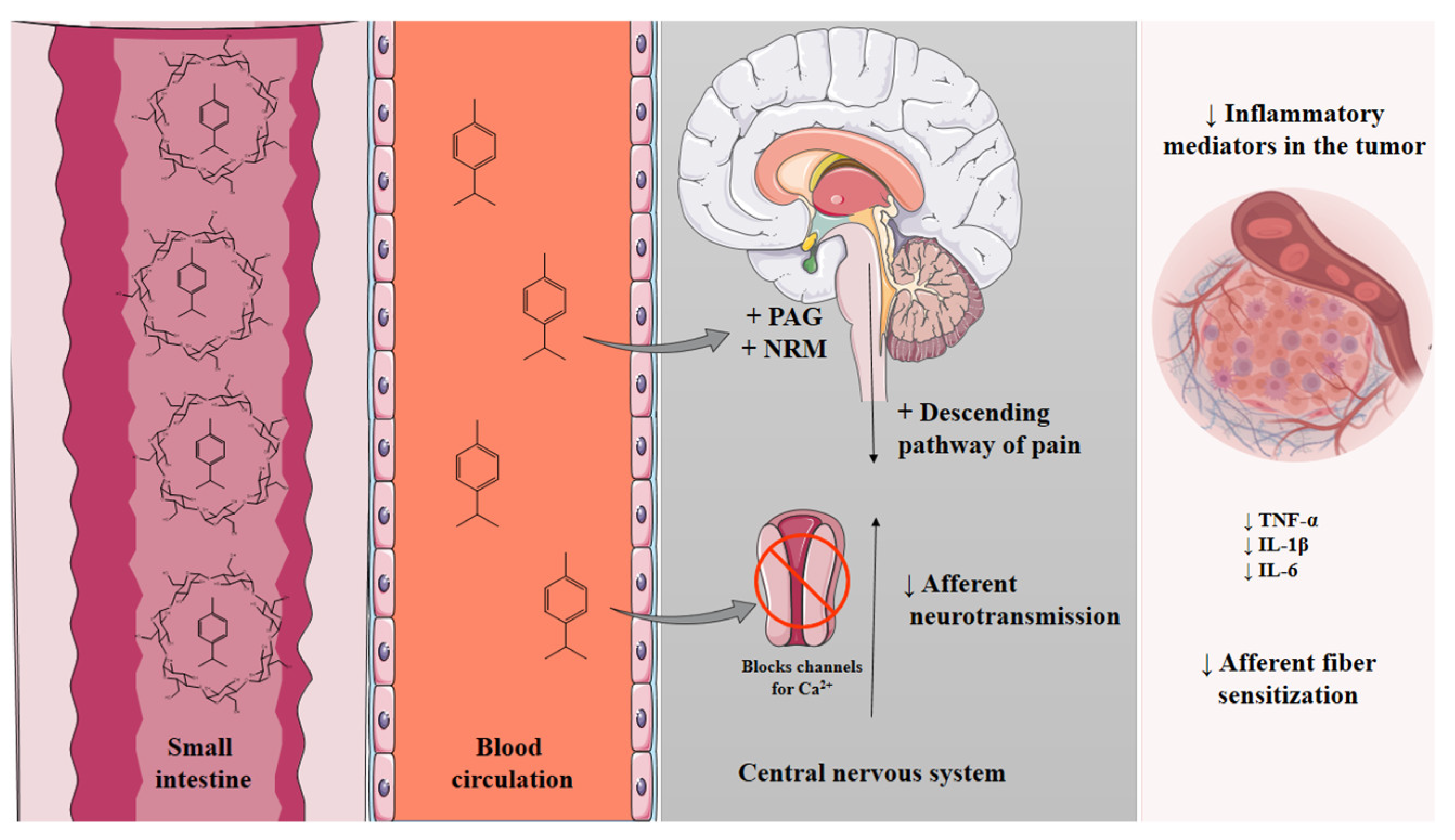 Molecules 28 04465 g005 Molecules 28 04465 g005