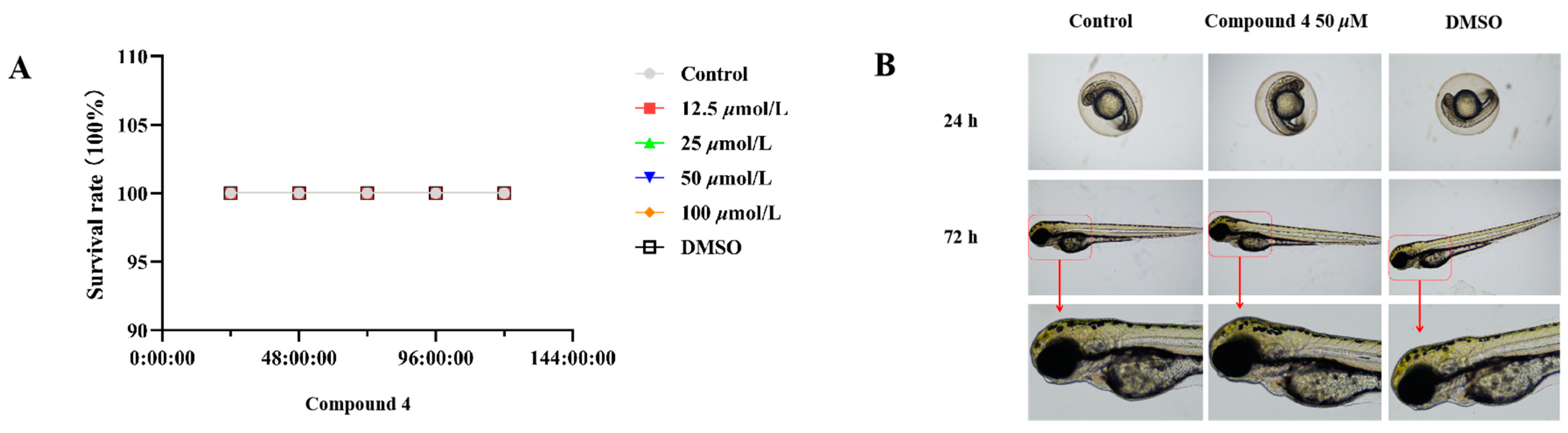Molecules 28 04472 g008 Molecules 28 04472 g008