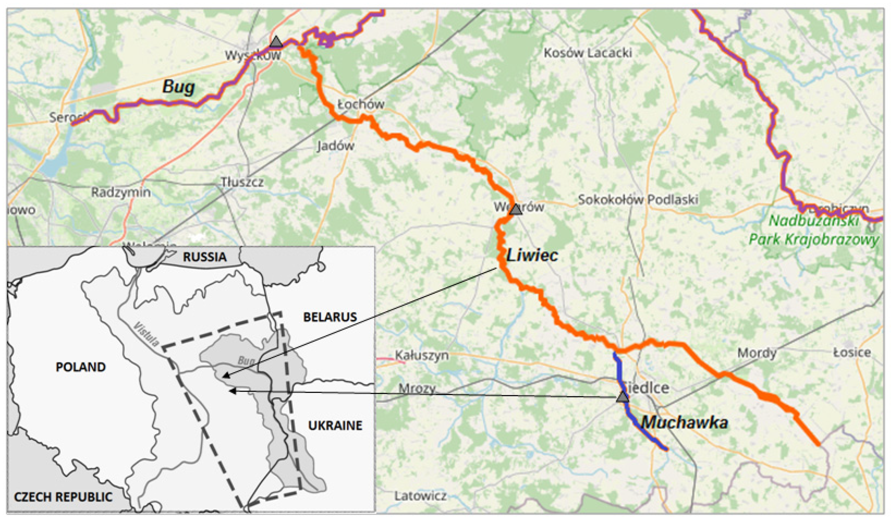 Molecules 28 04482 g004 Molecules 28 04482 g004