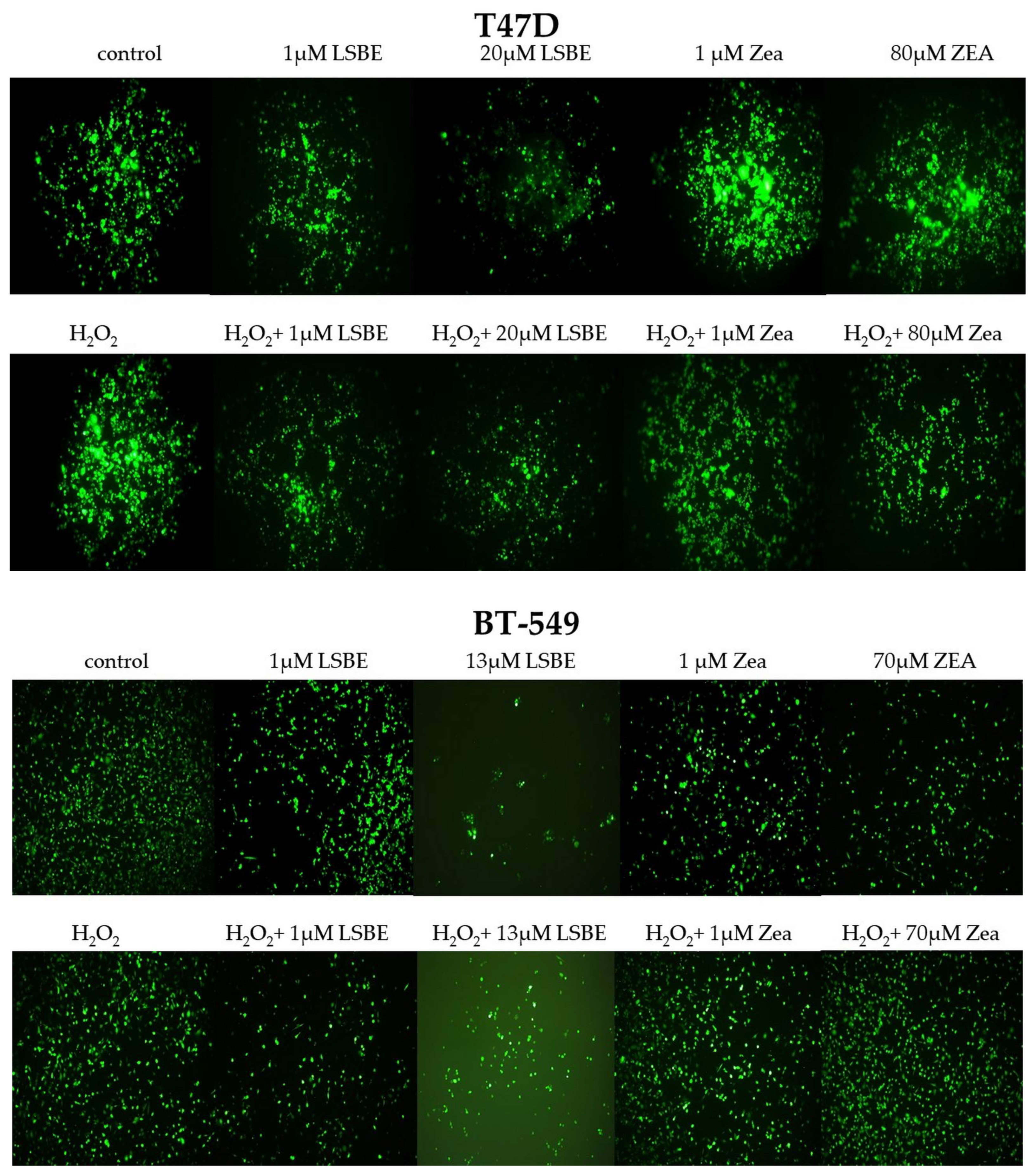 Molecules 28 04486 g003 Molecules 28 04486 g003