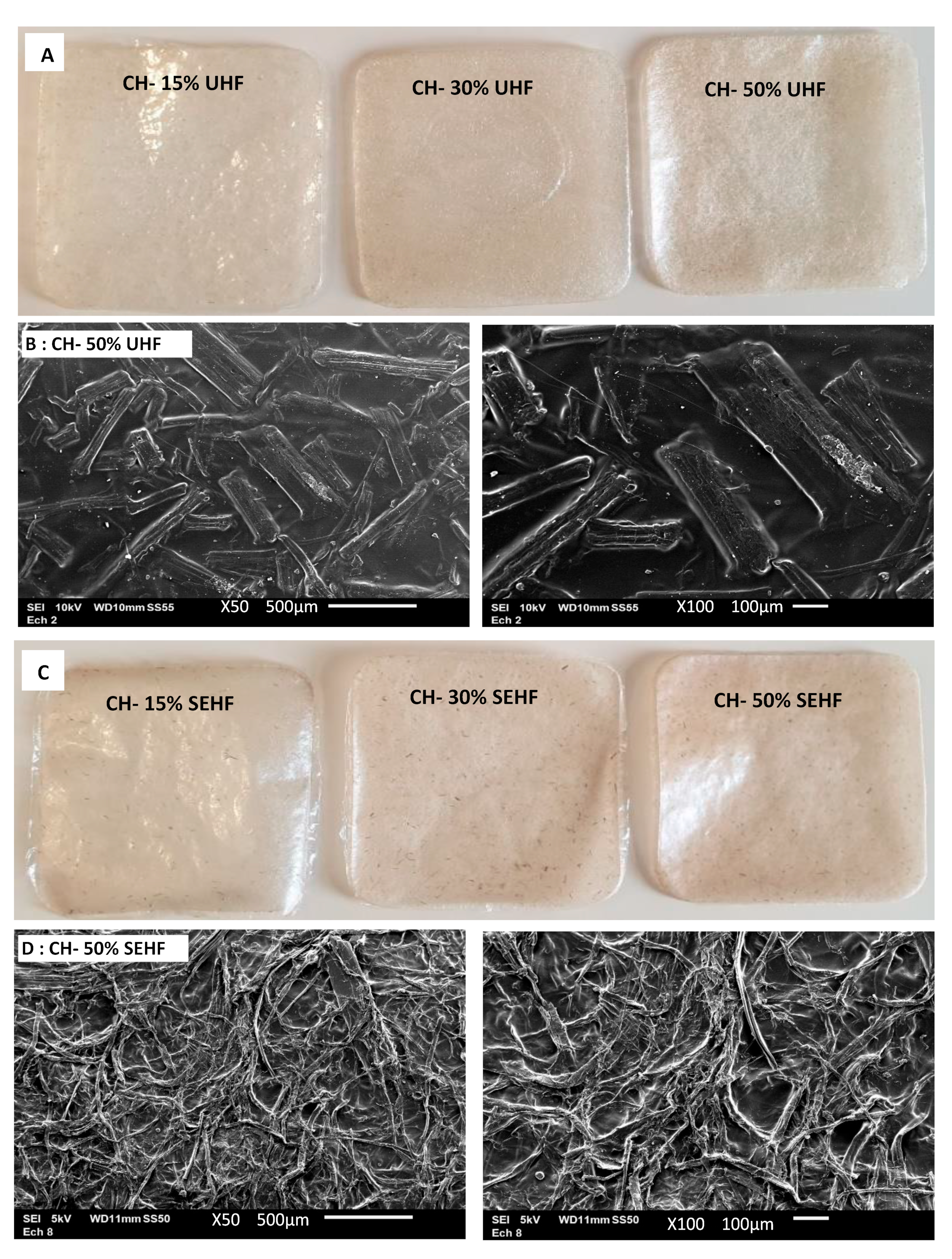 Molecules 28 04488 g001