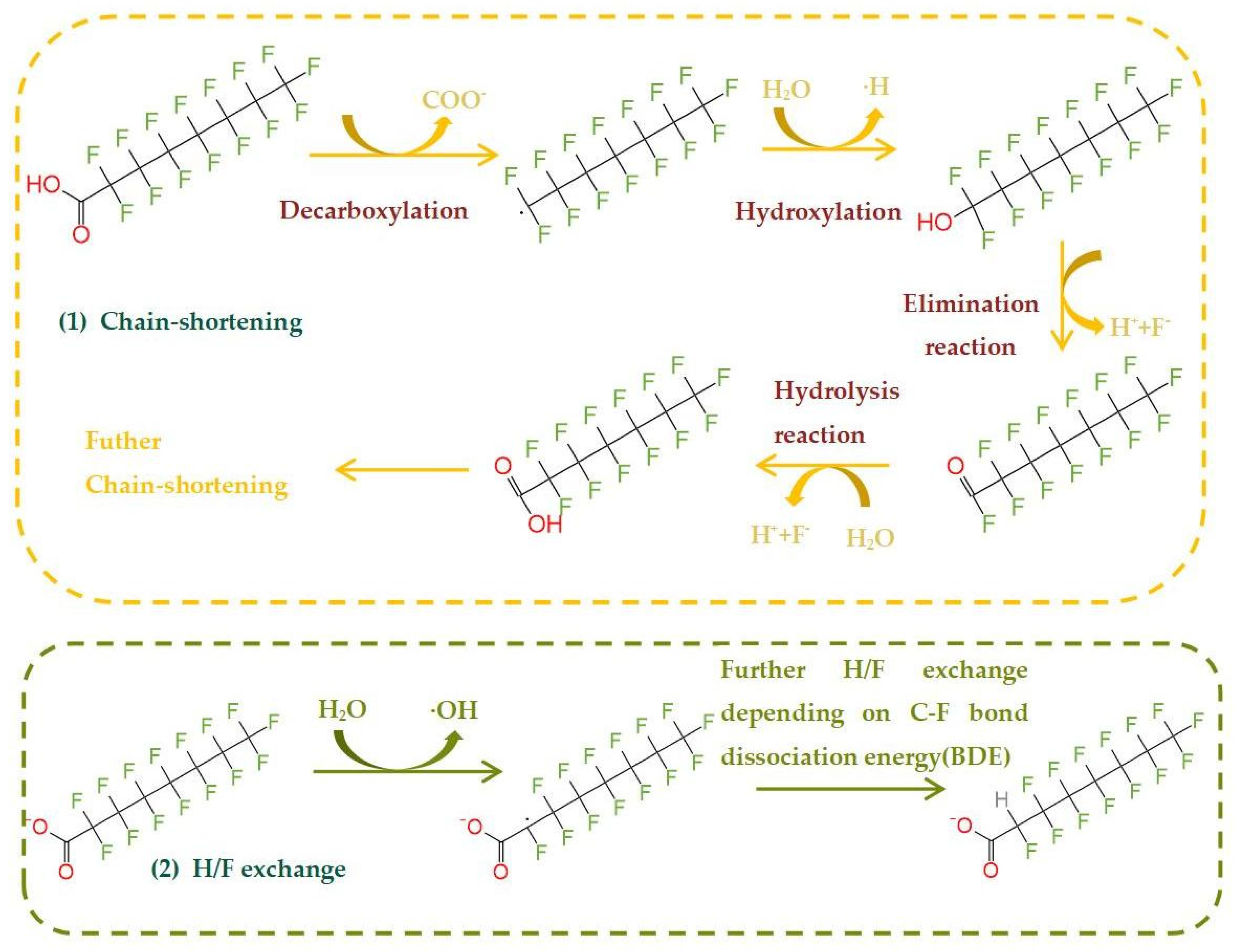 Molecules 28 04489 g001