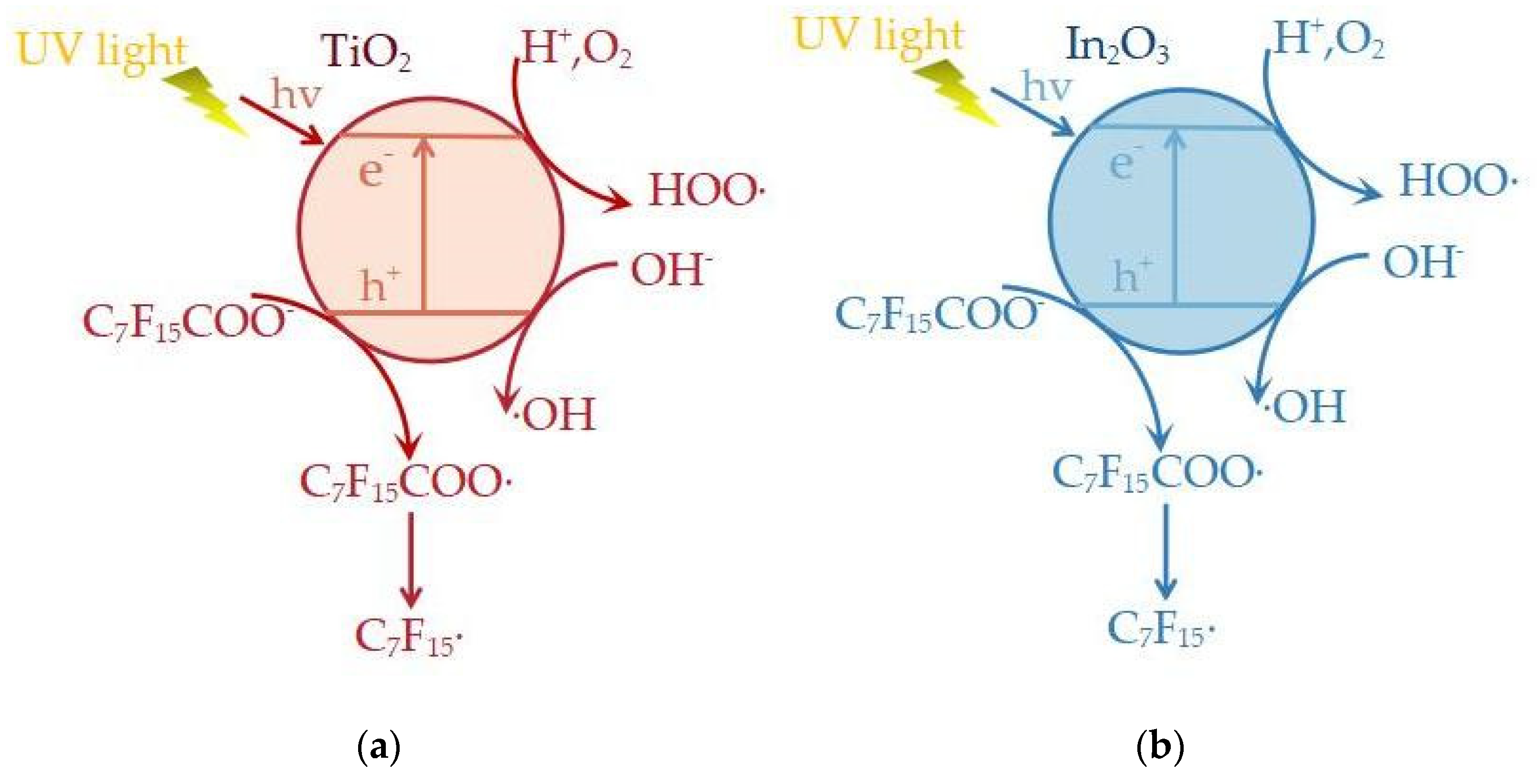 Molecules 28 04489 g003