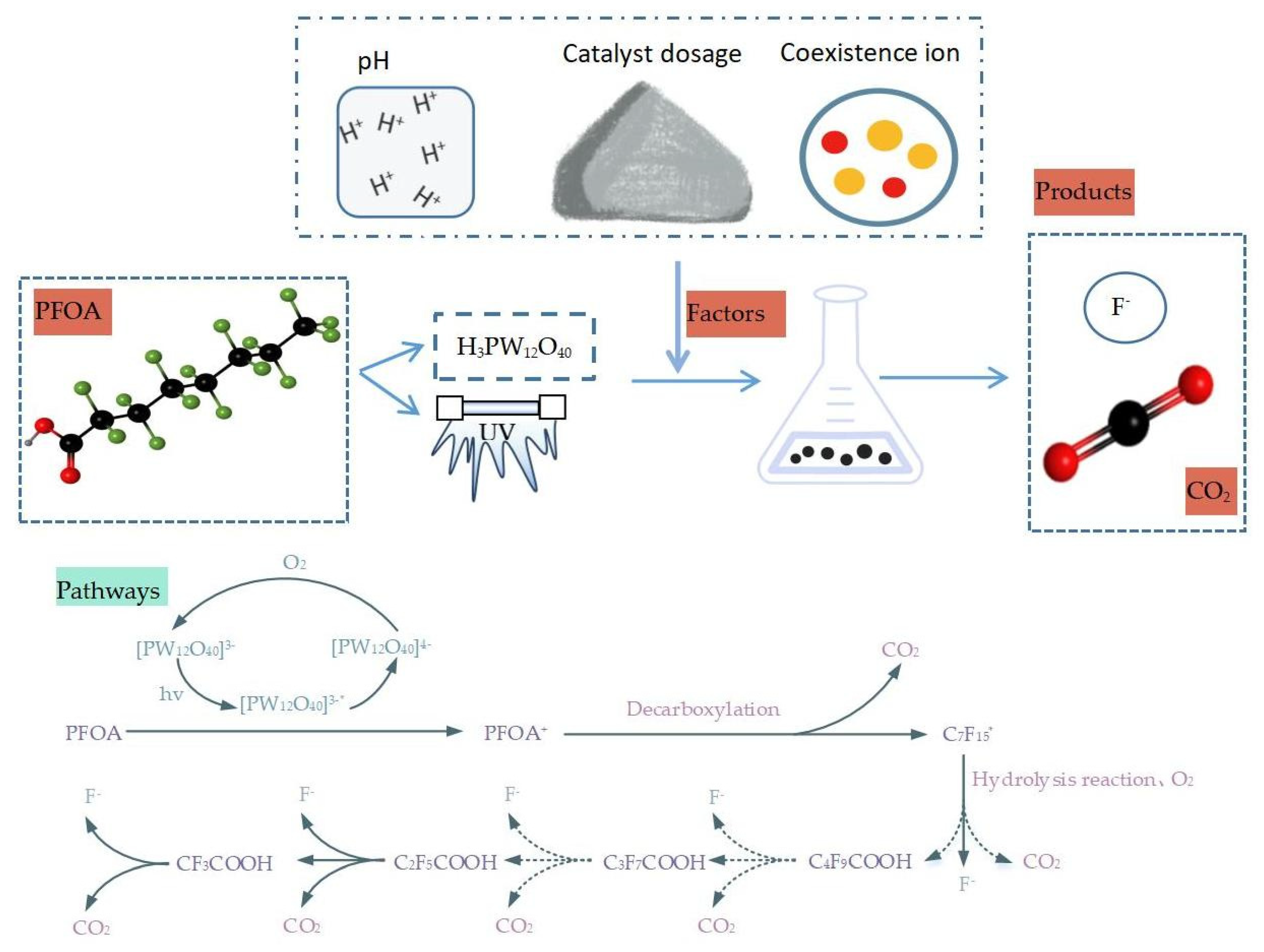 Molecules 28 04489 g005