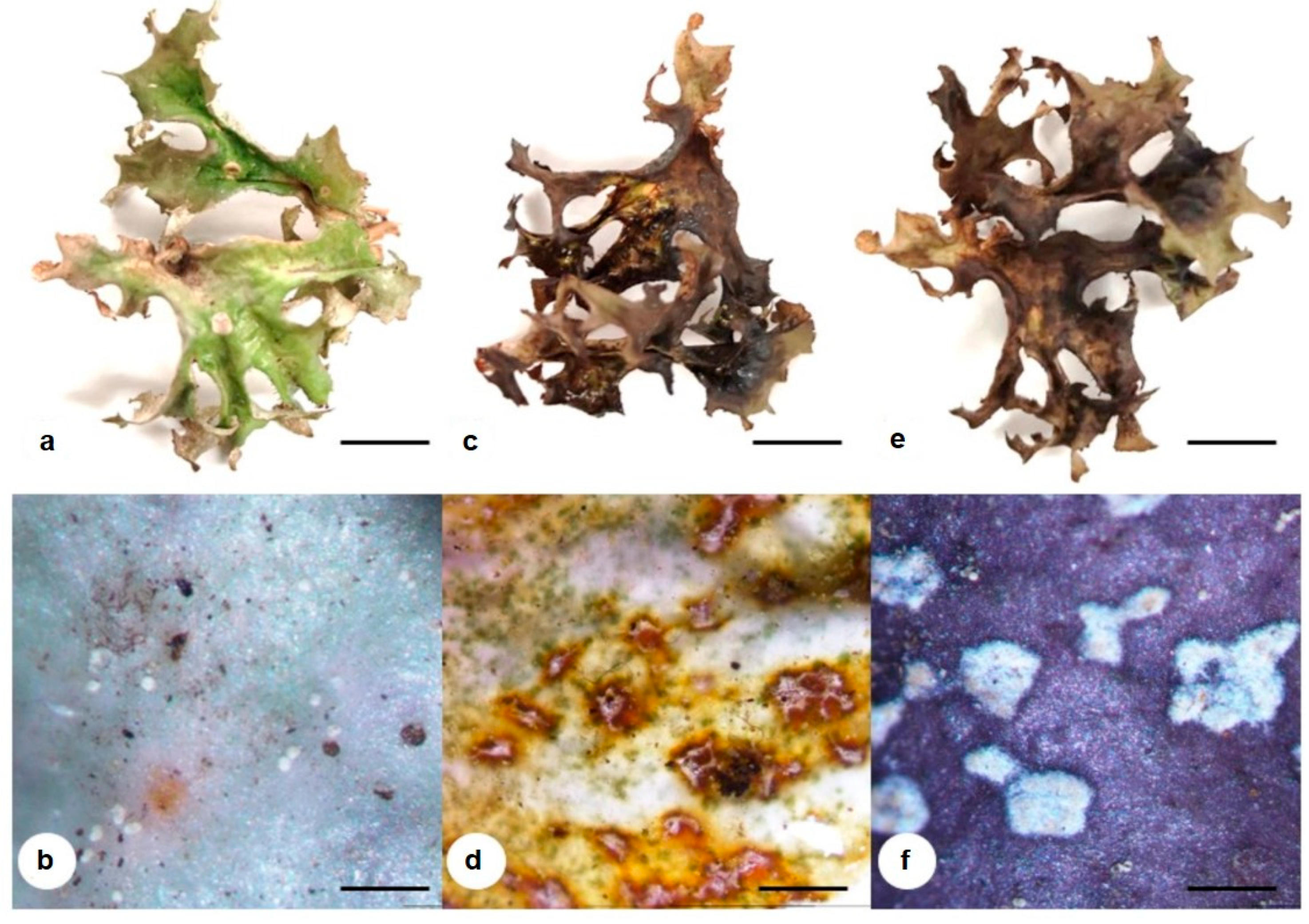 Molecules 28 04493 g002