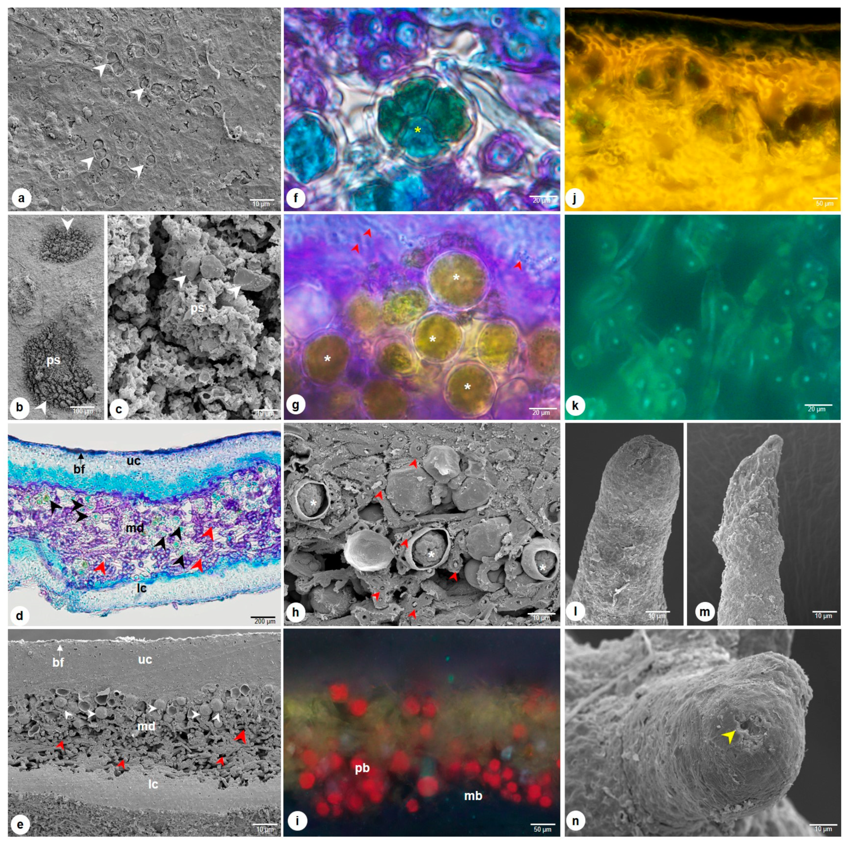 Molecules 28 04493 g003