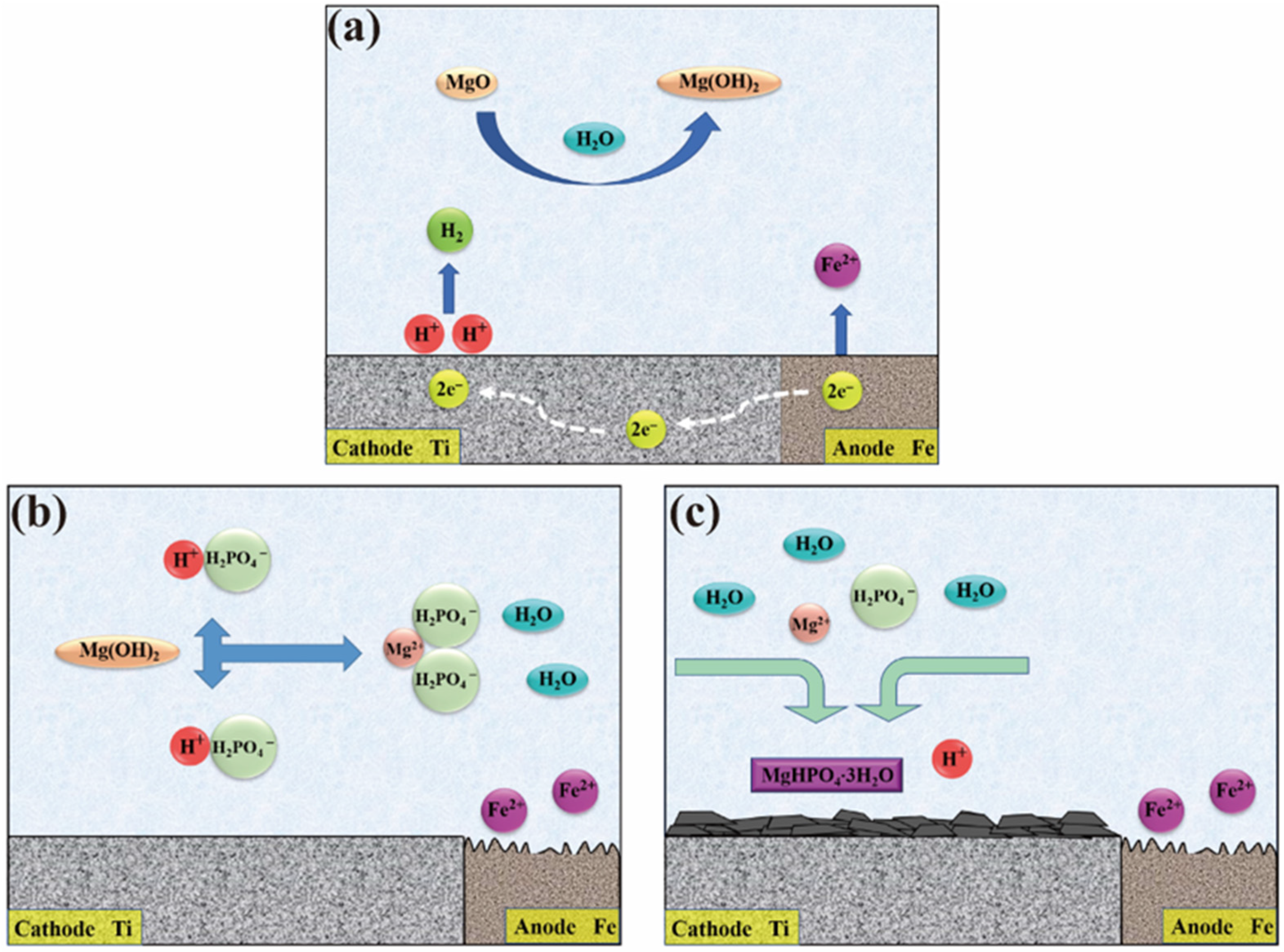 Molecules 28 04495 g007 Molecules 28 04495 g007