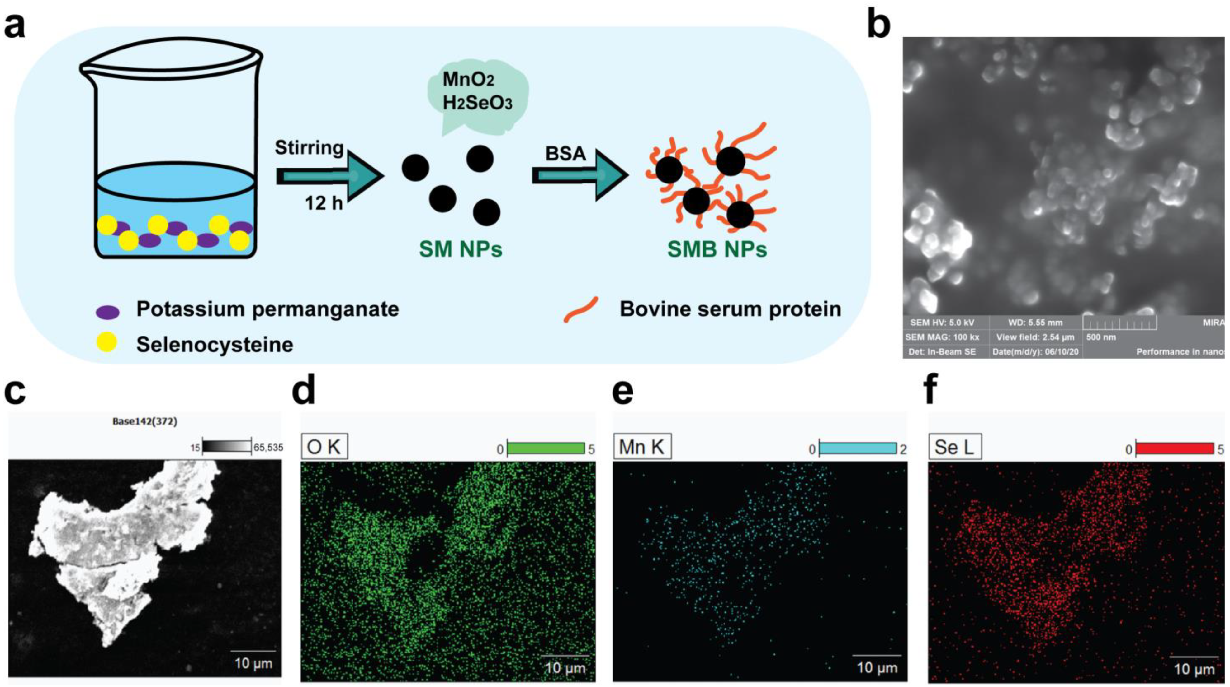 Molecules 28 04498 g001 Molecules 28 04498 g001