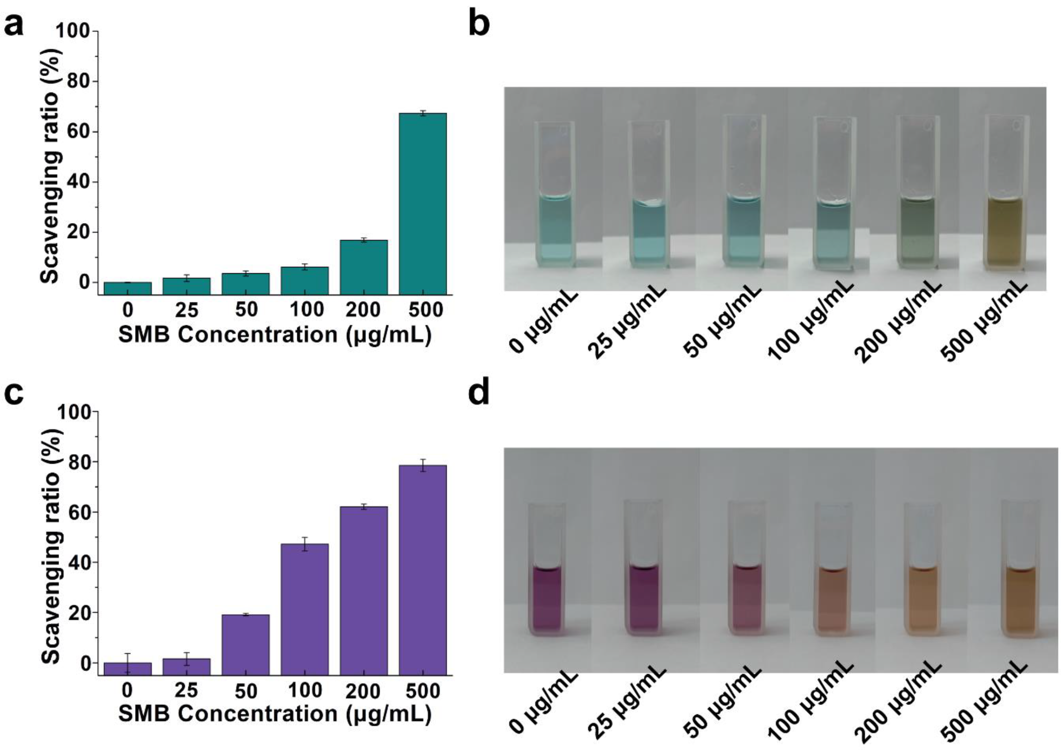 Molecules 28 04498 g005 Molecules 28 04498 g005
