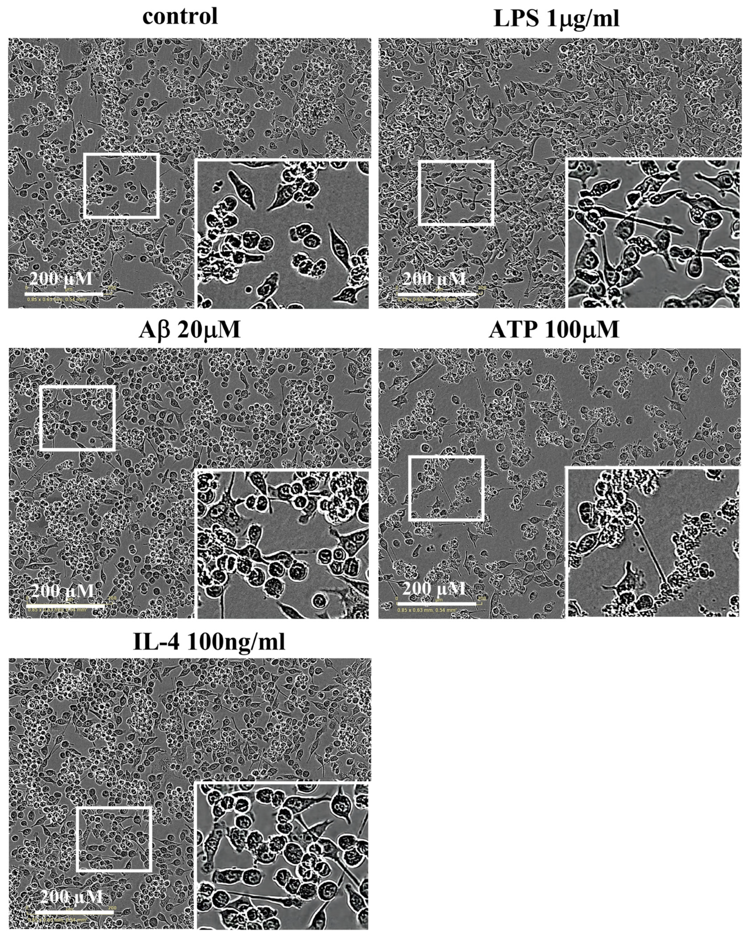 Molecules 28 04501 g002 Molecules 28 04501 g002