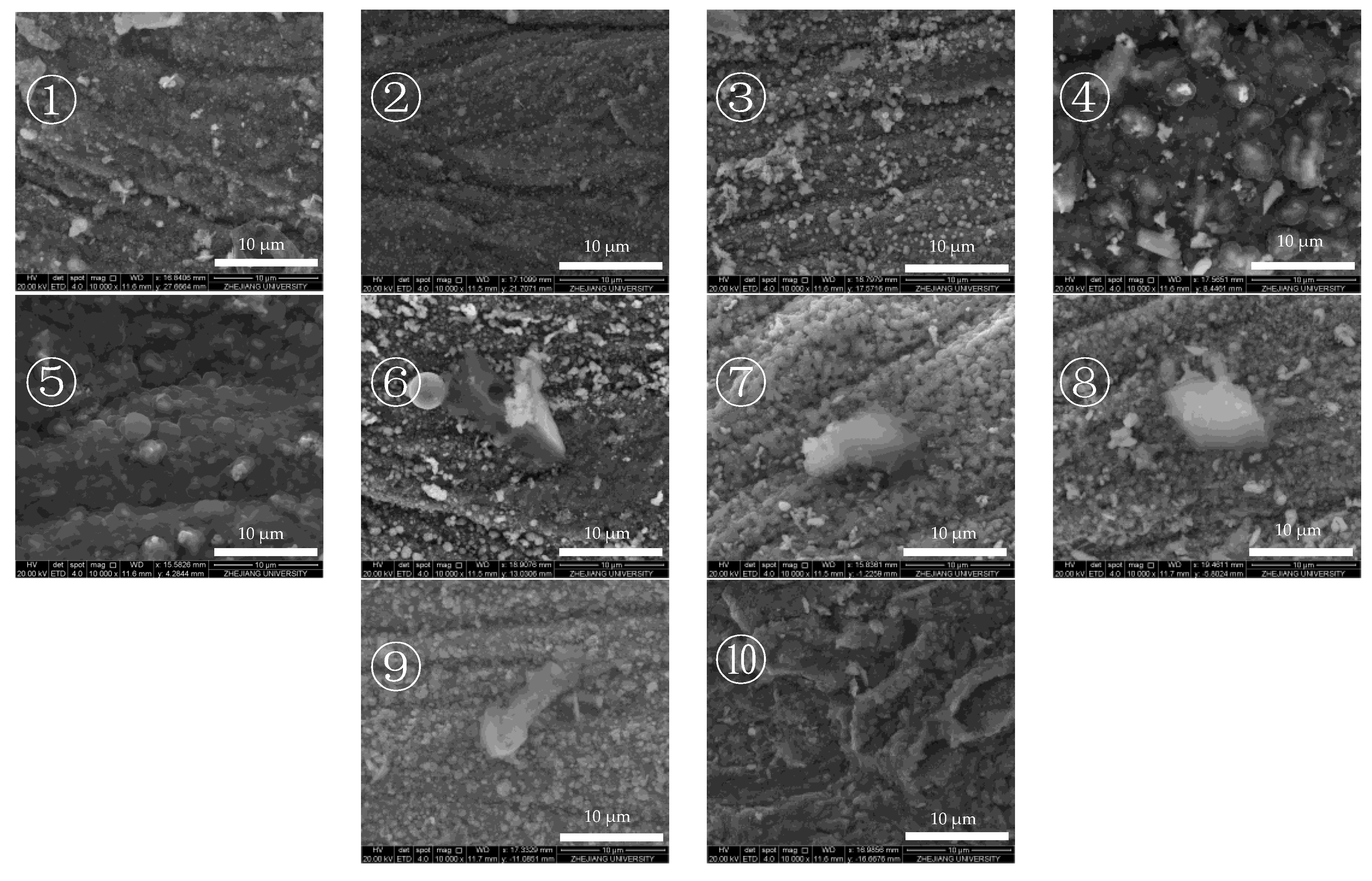 Molecules 28 04508 g002 Molecules 28 04508 g002