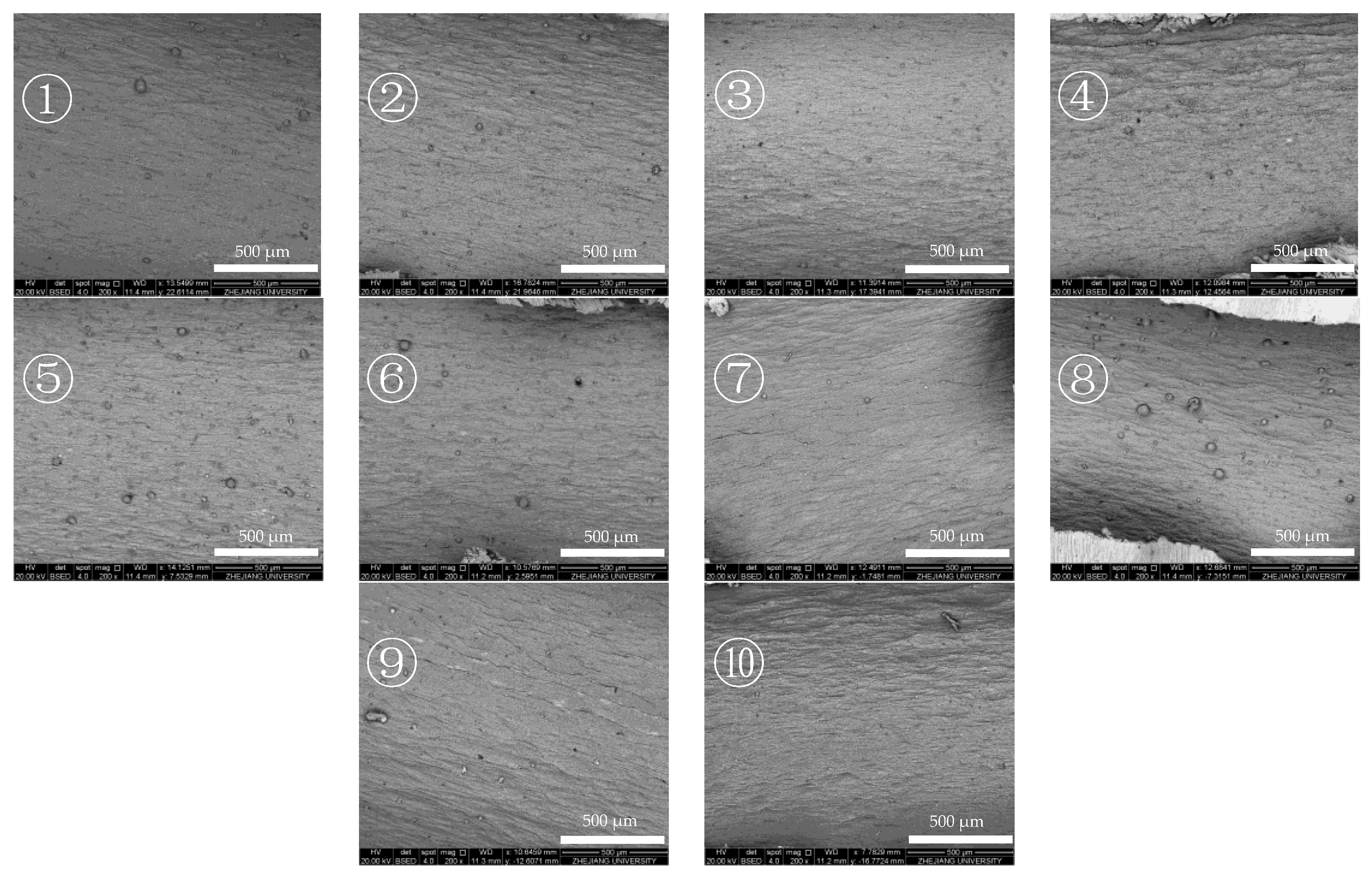 Morphological and Compositional Analysis on Thermal