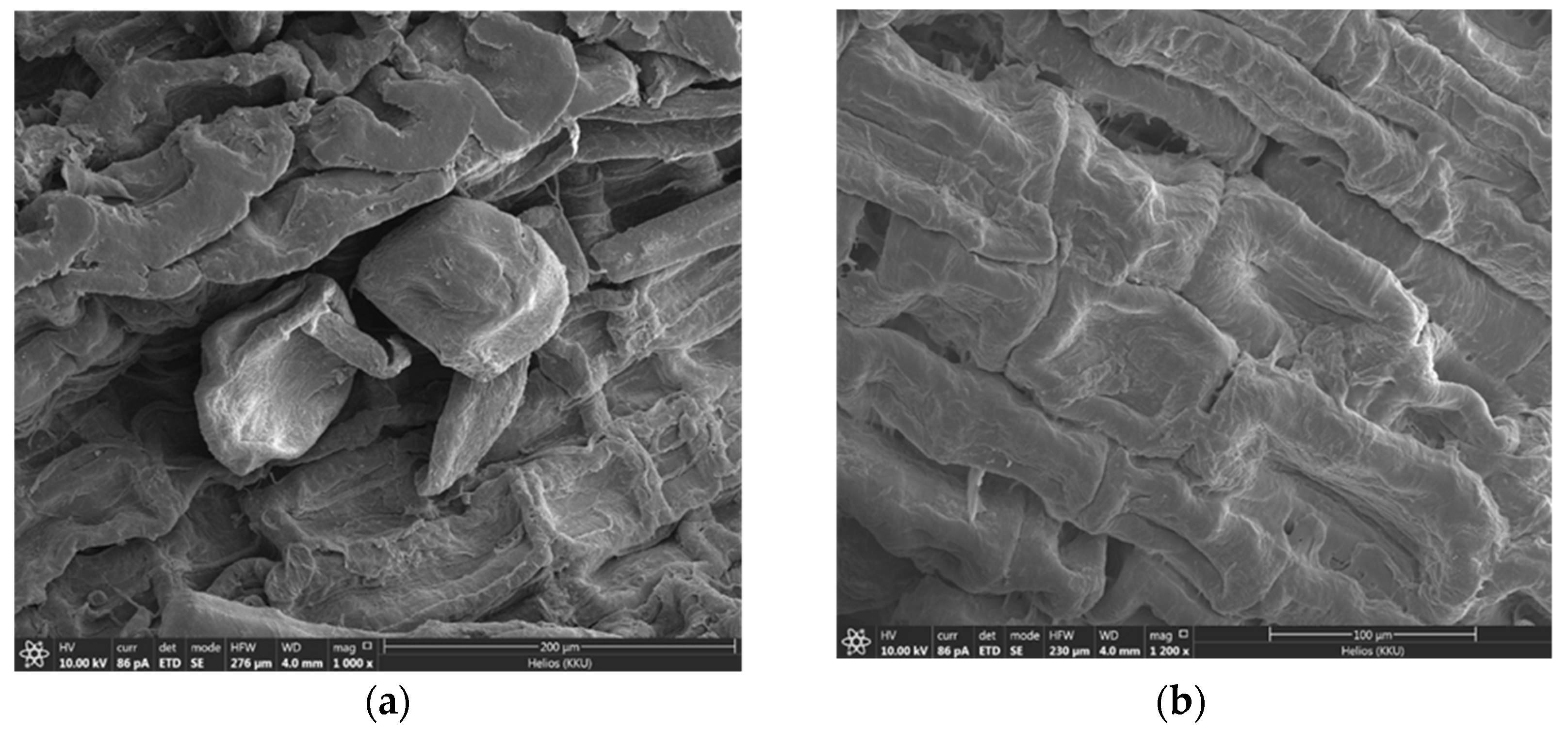 Molecules 28 04514 g002 Molecules 28 04514 g002