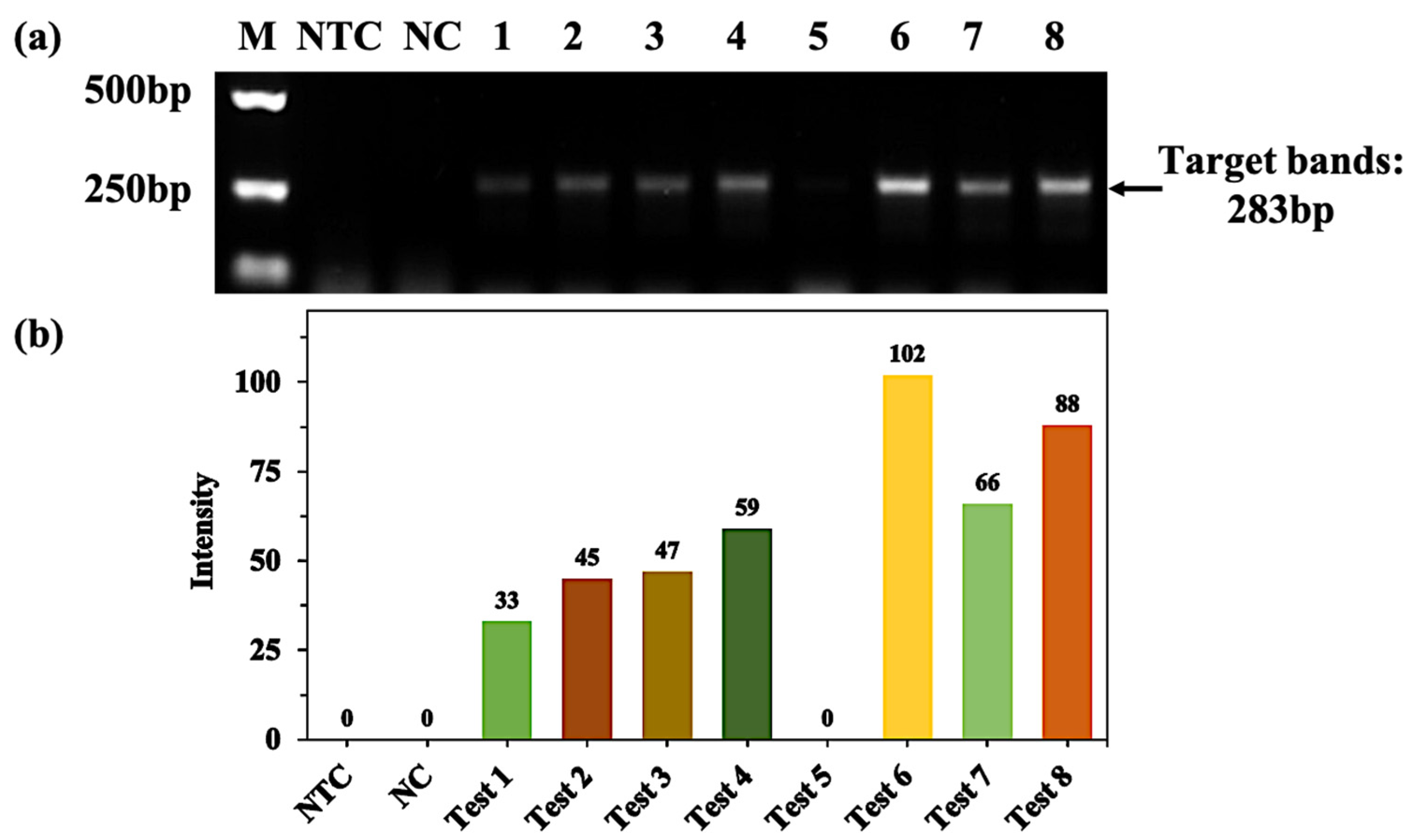 Molecules Free FullText Enhancement Effects and Mechanism Studies