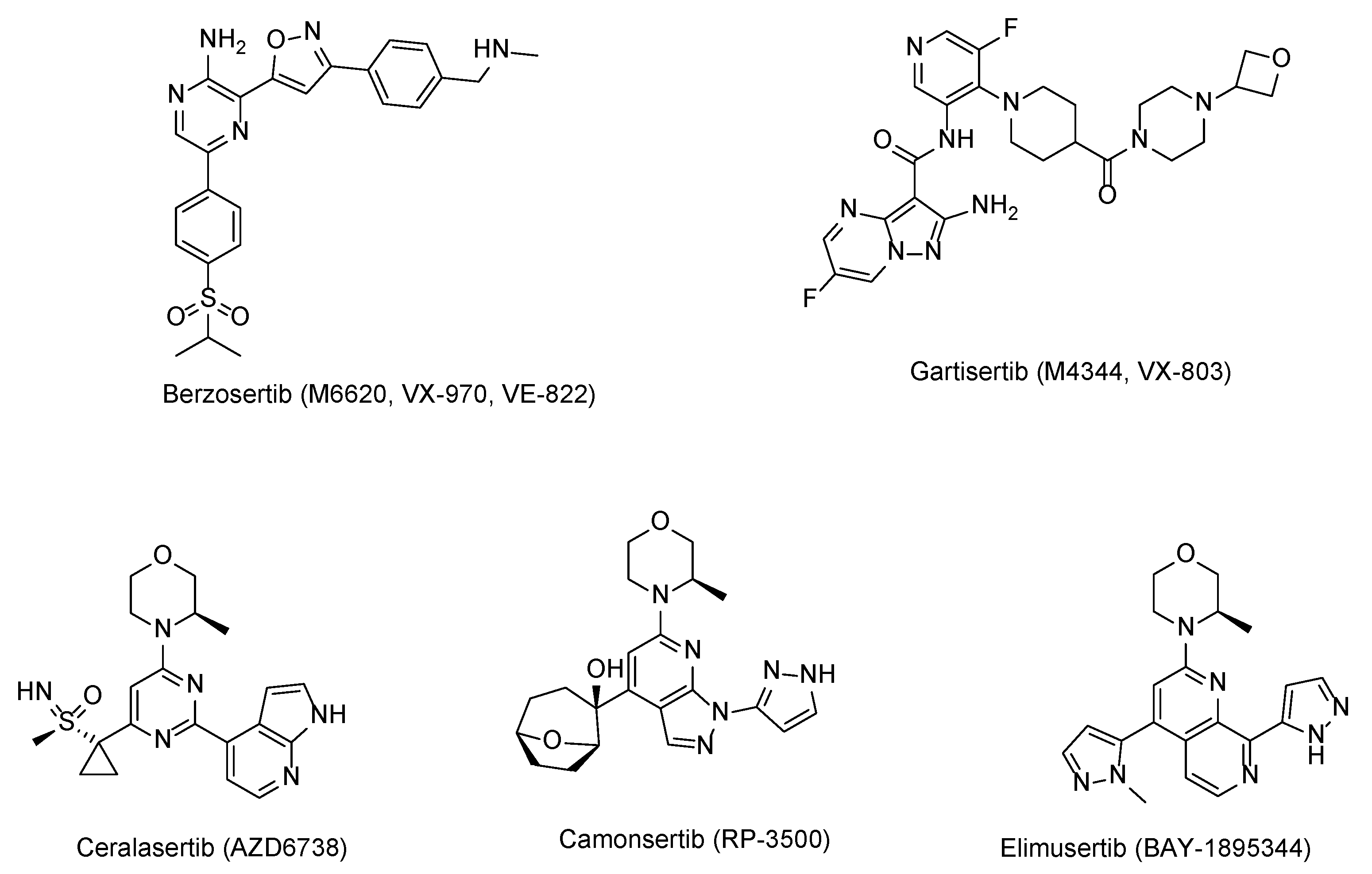 Molecules 28 04521 g001 Molecules 28 04521 g001