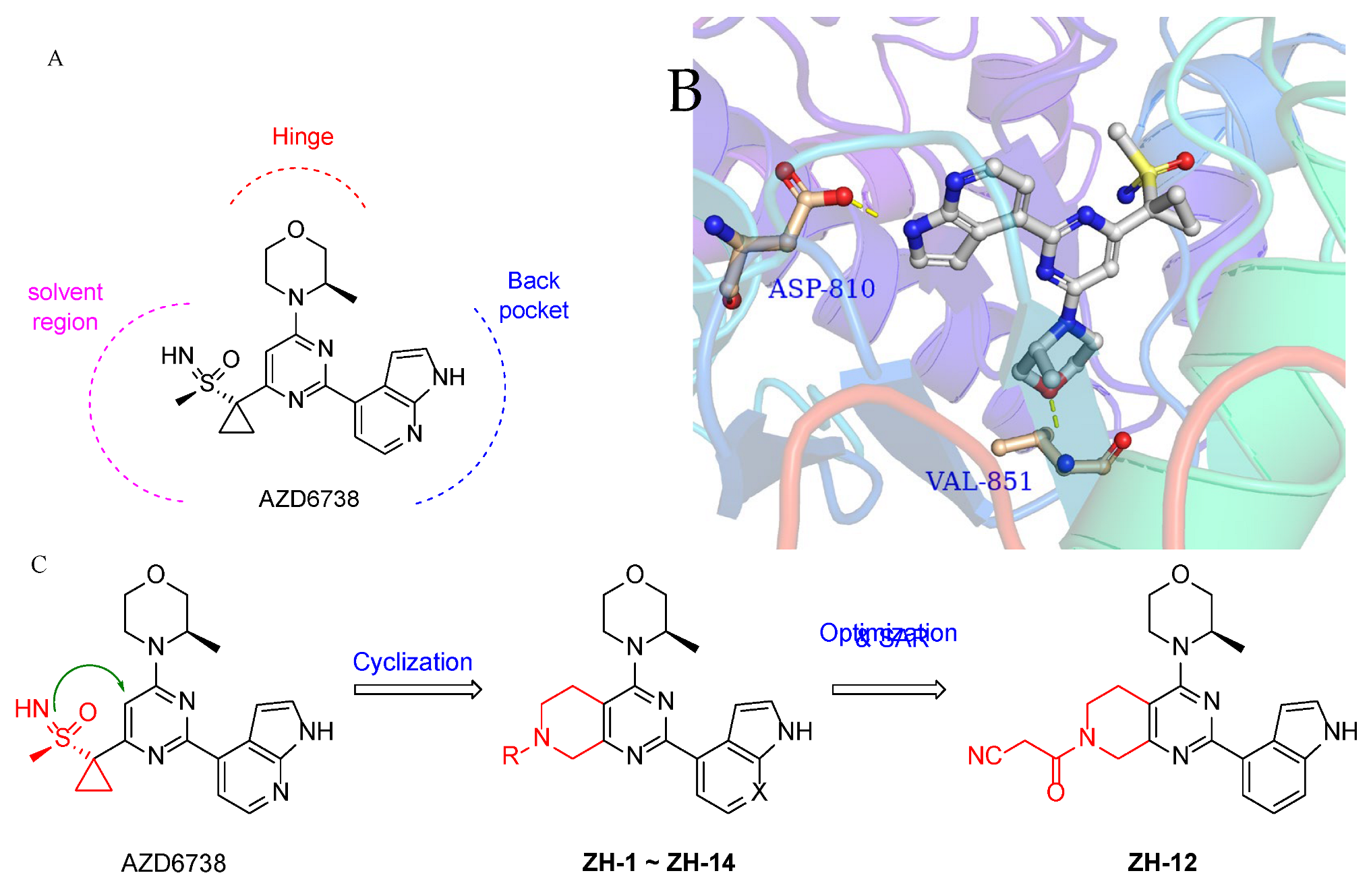 Molecules 28 04521 g002 Molecules 28 04521 g002