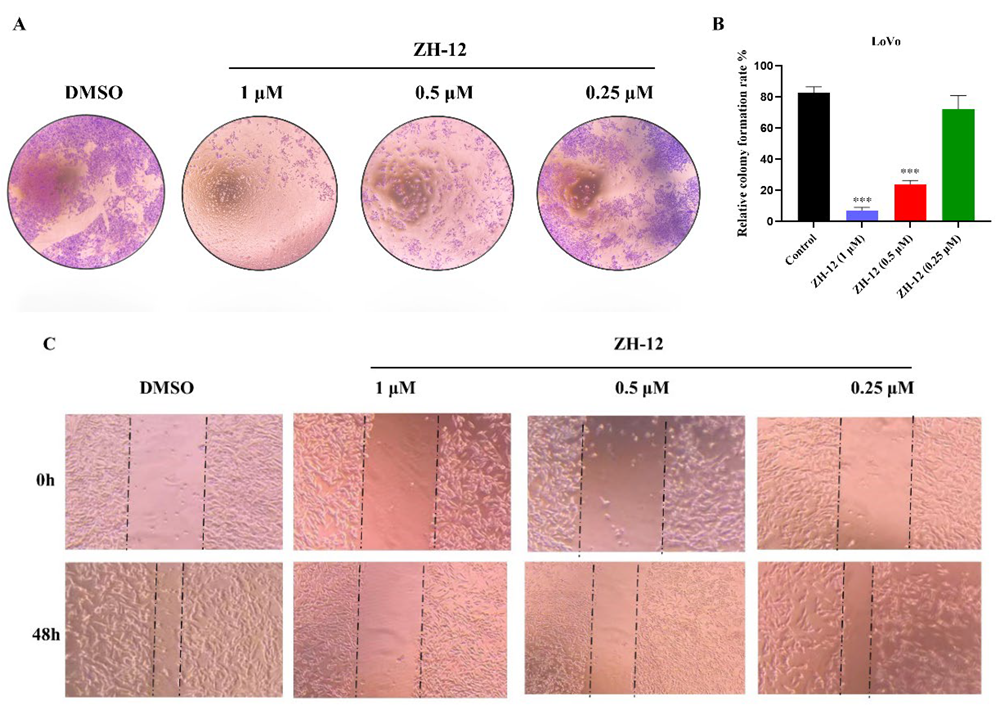 Molecules 28 04521 g004 Molecules 28 04521 g004