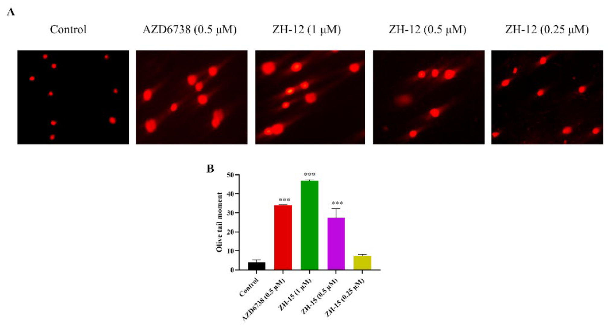 Molecules 28 04521 g005 Molecules 28 04521 g005
