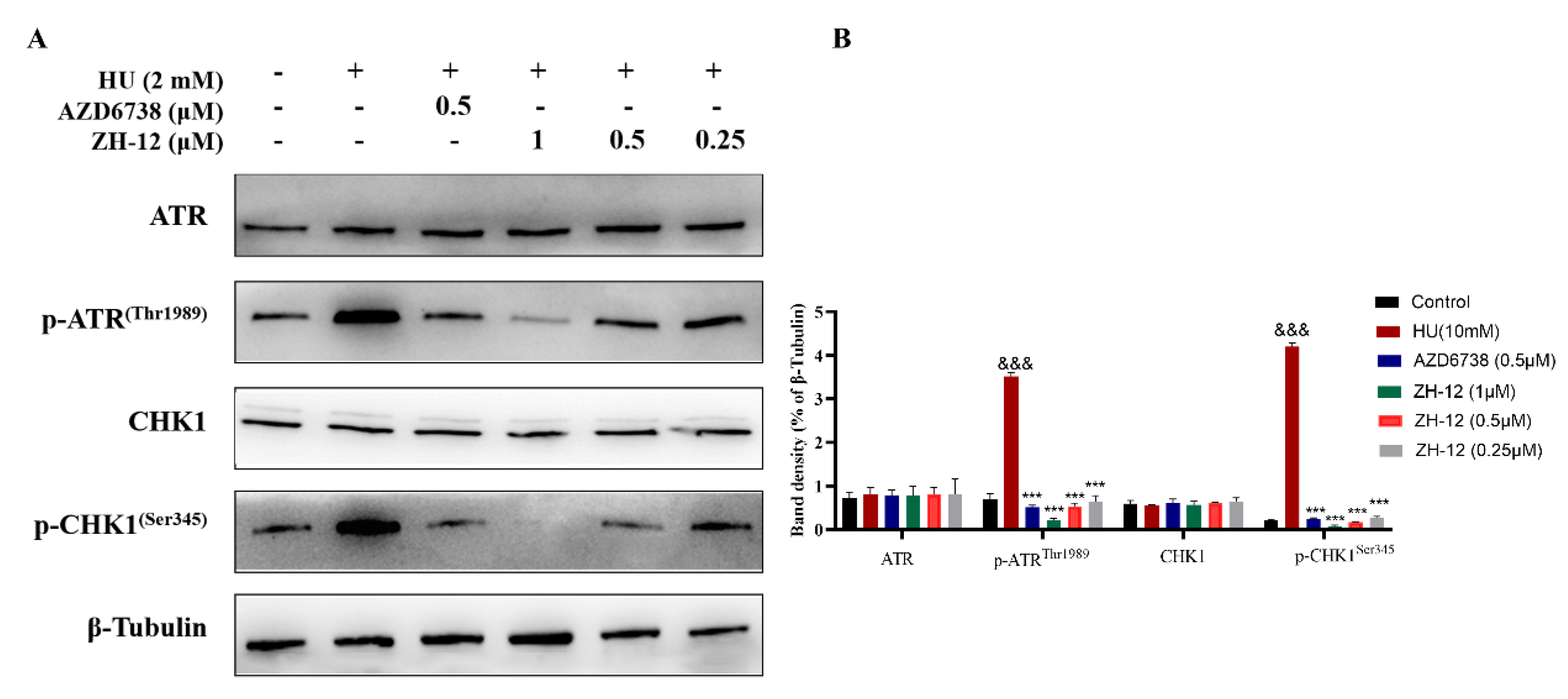 Molecules 28 04521 g007 Molecules 28 04521 g007