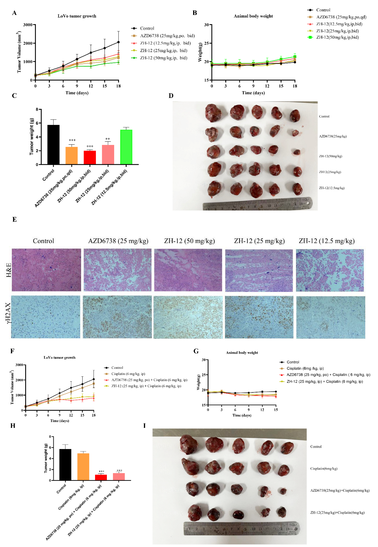 Molecules 28 04521 g008 Molecules 28 04521 g008