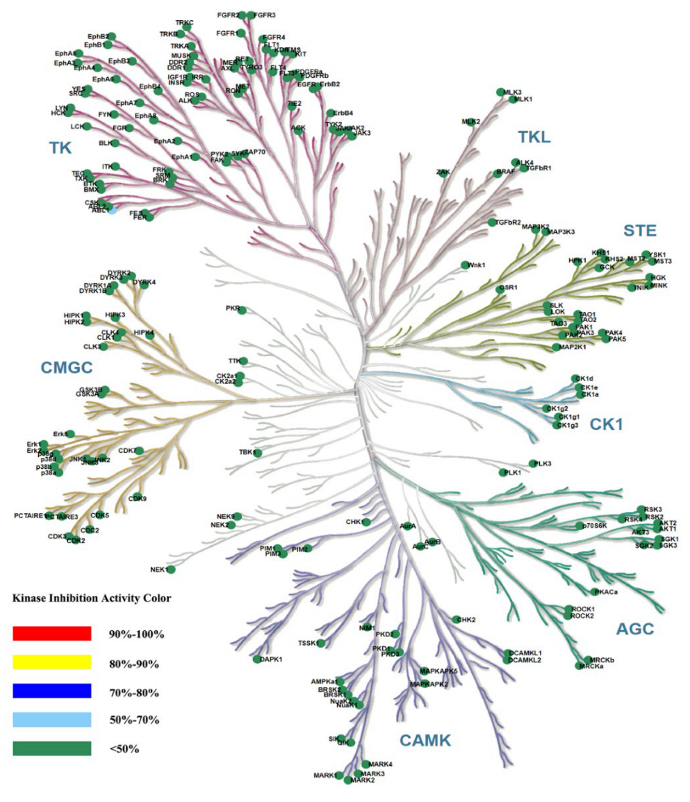 Molecules 28 04521 g010 Molecules 28 04521 g010