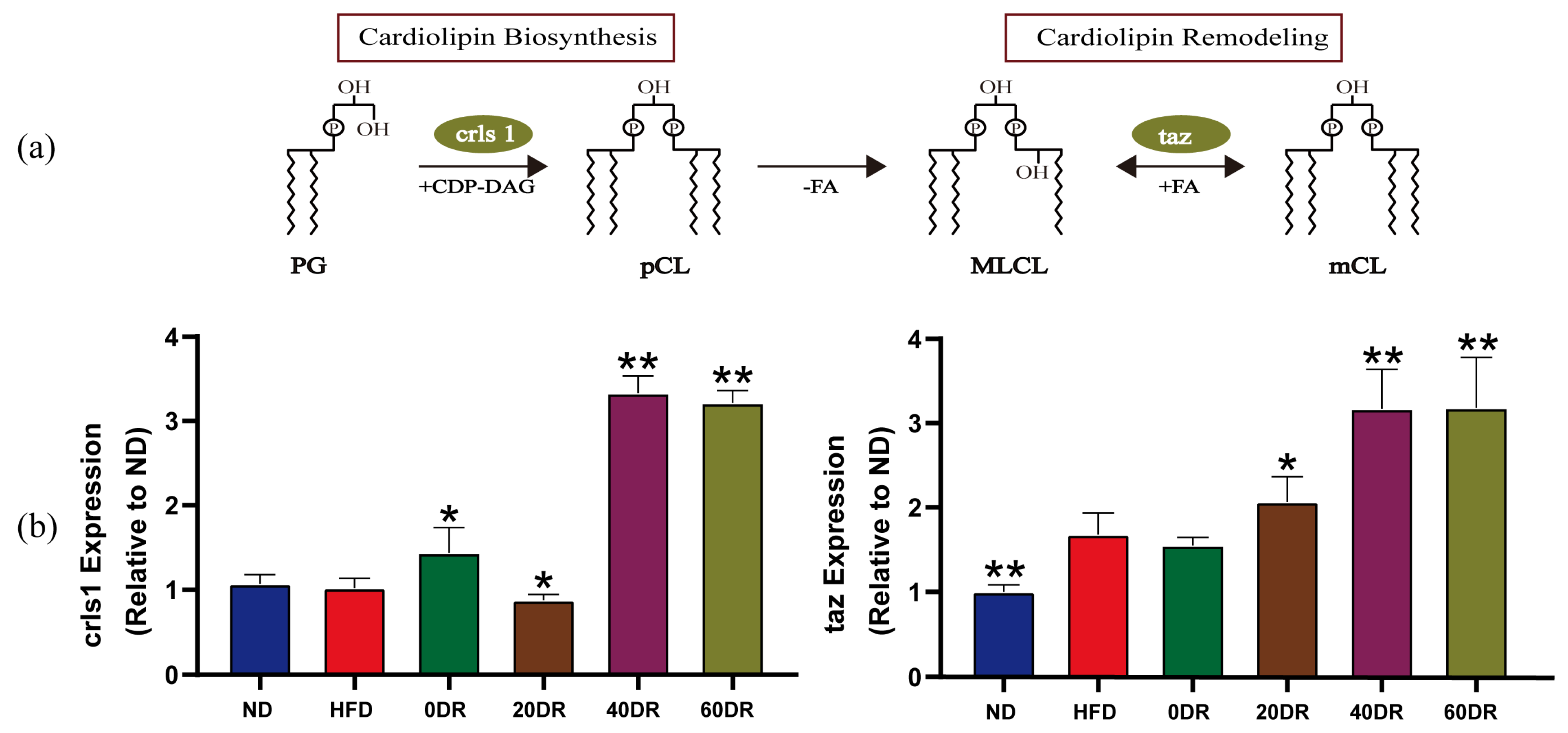 Molecules 28 04522 g007 Molecules 28 04522 g007