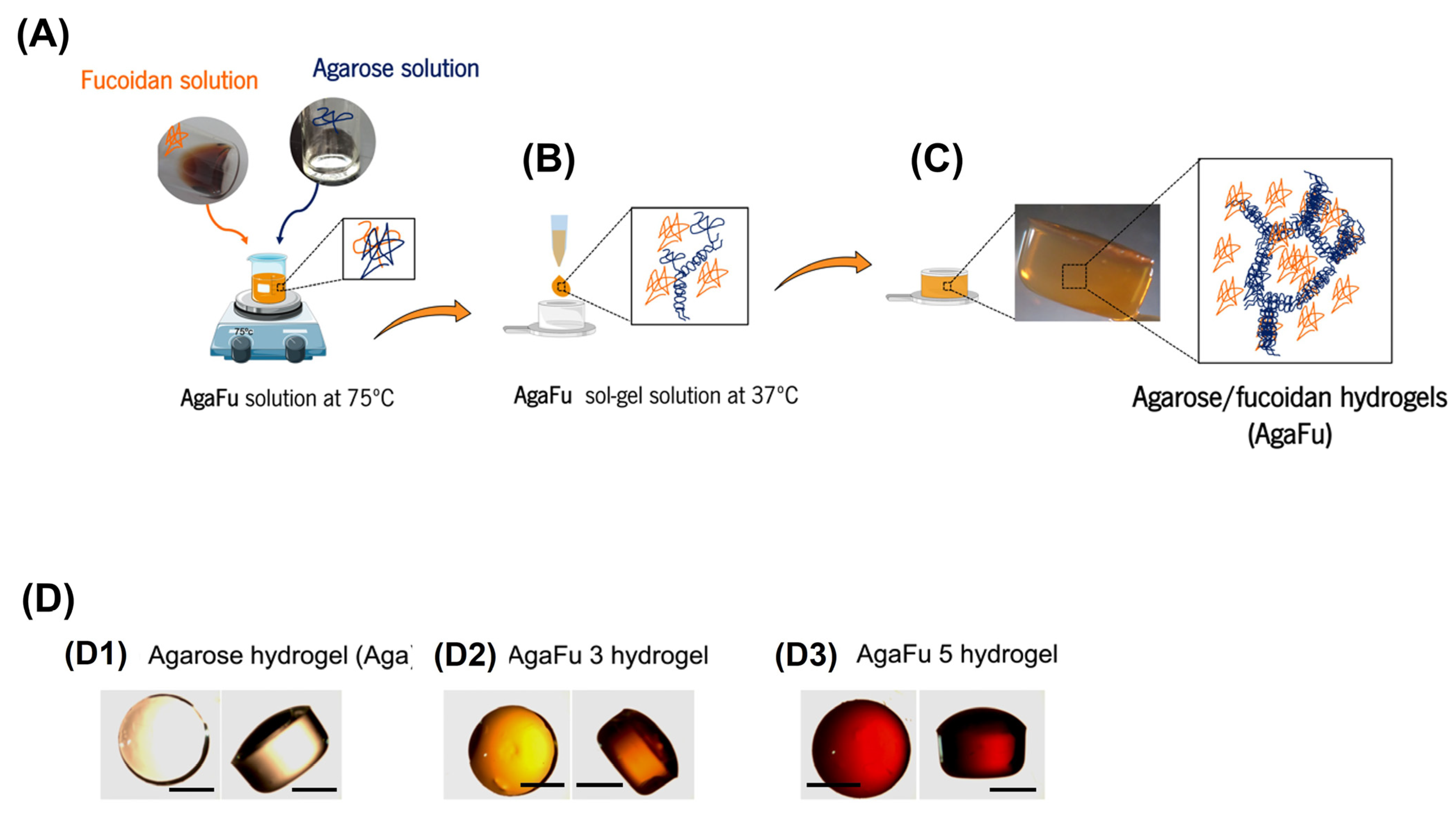 Molecules 28 04523 g001