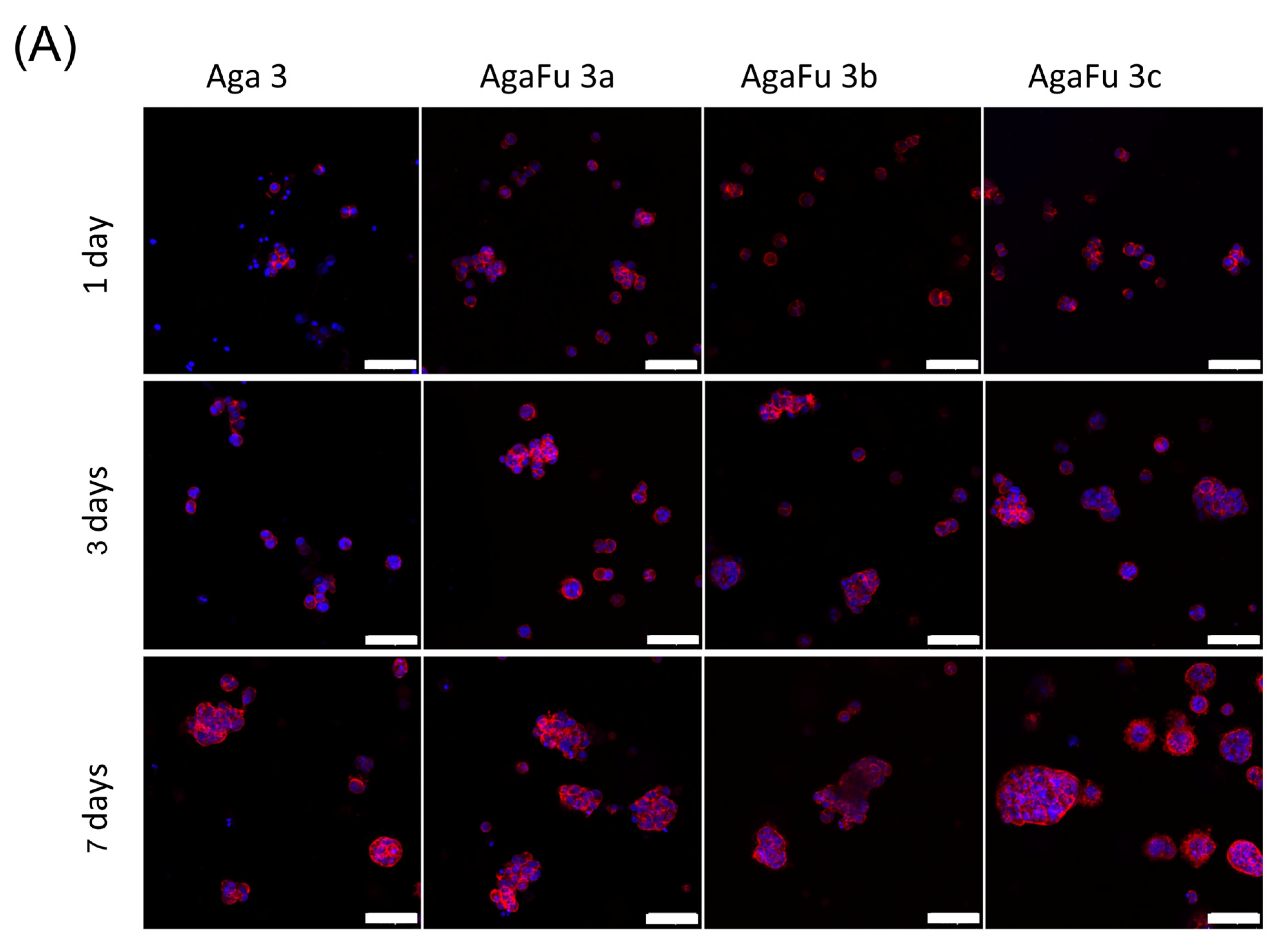 Molecules 28 04523 g009a