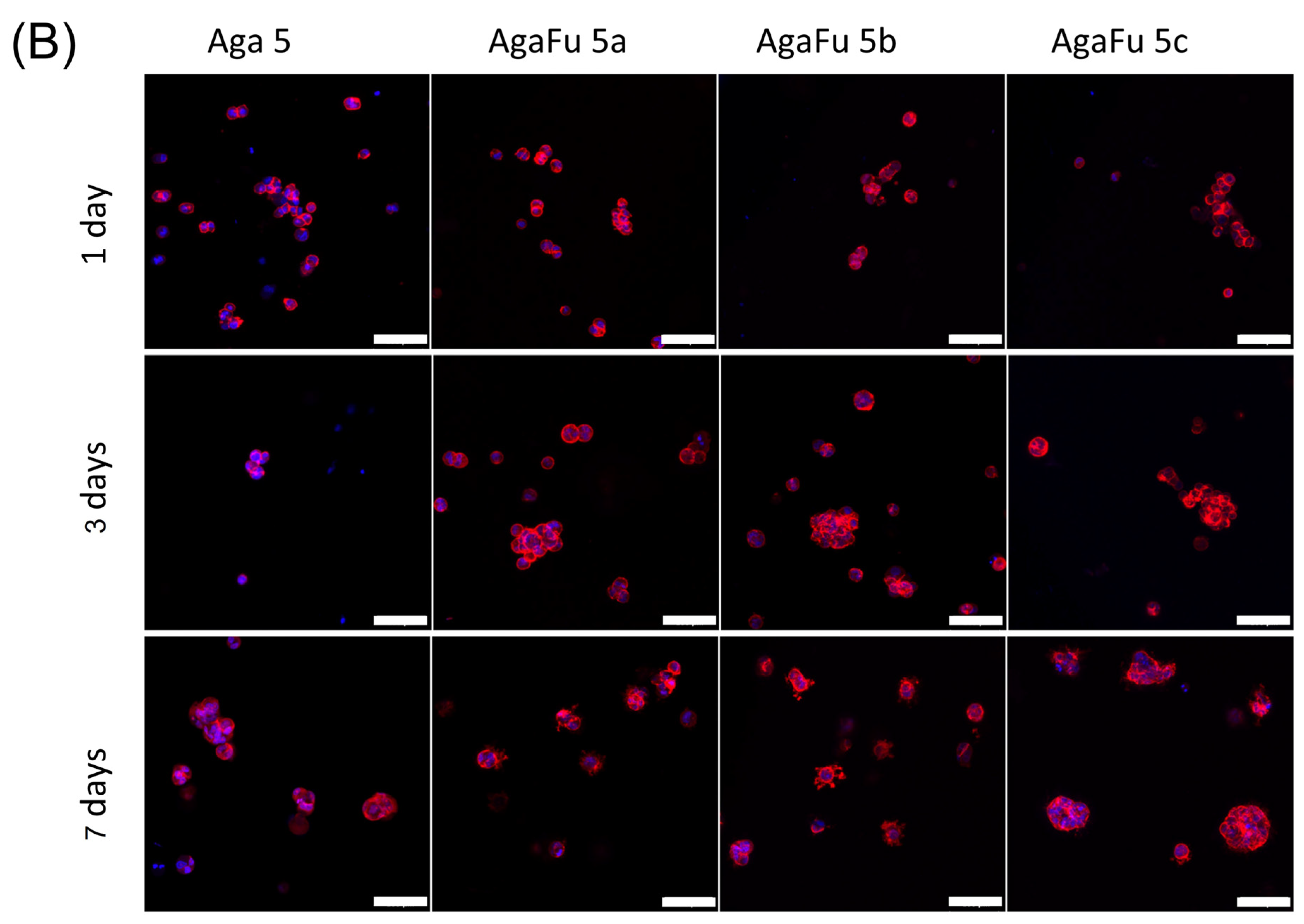 Molecules 28 04523 g009b