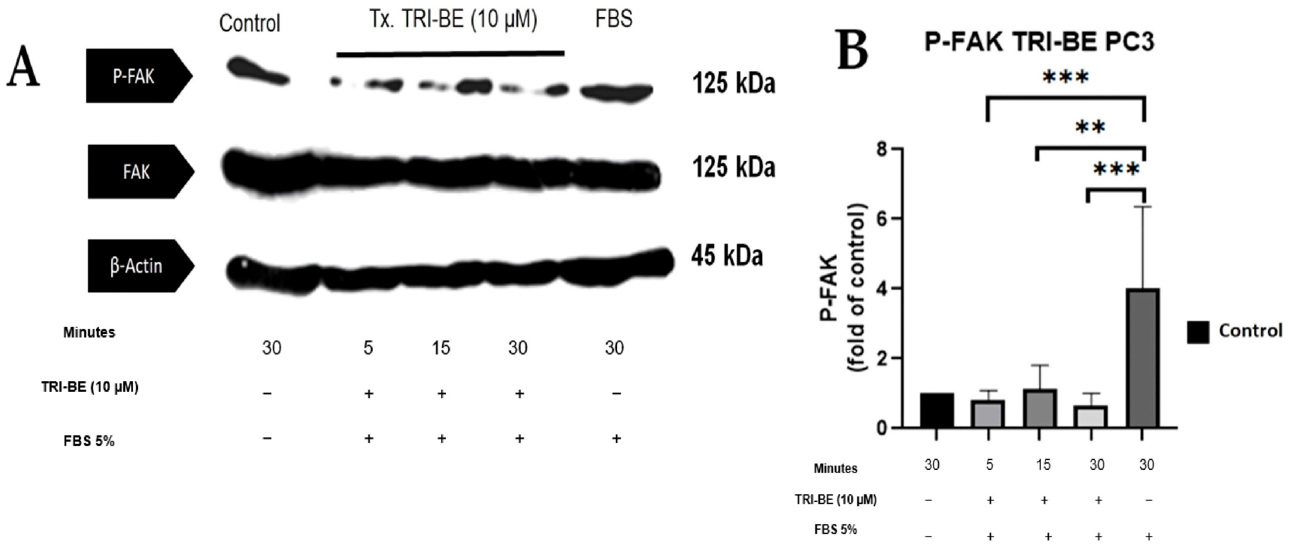 Molecules 28 04524 g007