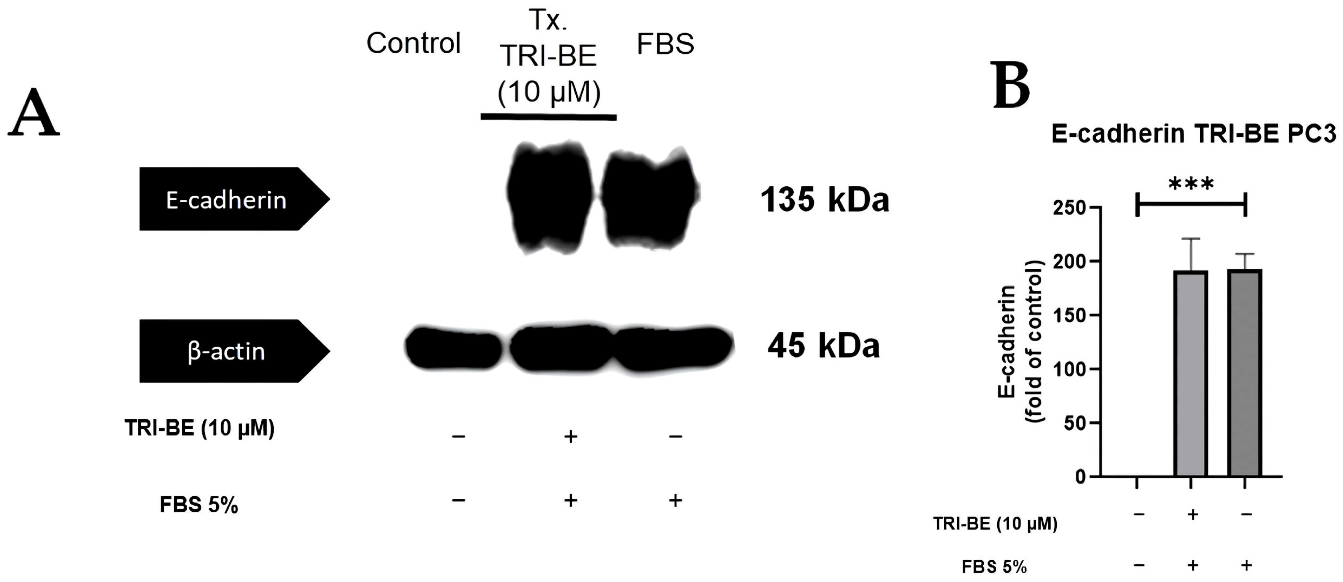 Molecules 28 04524 g009
