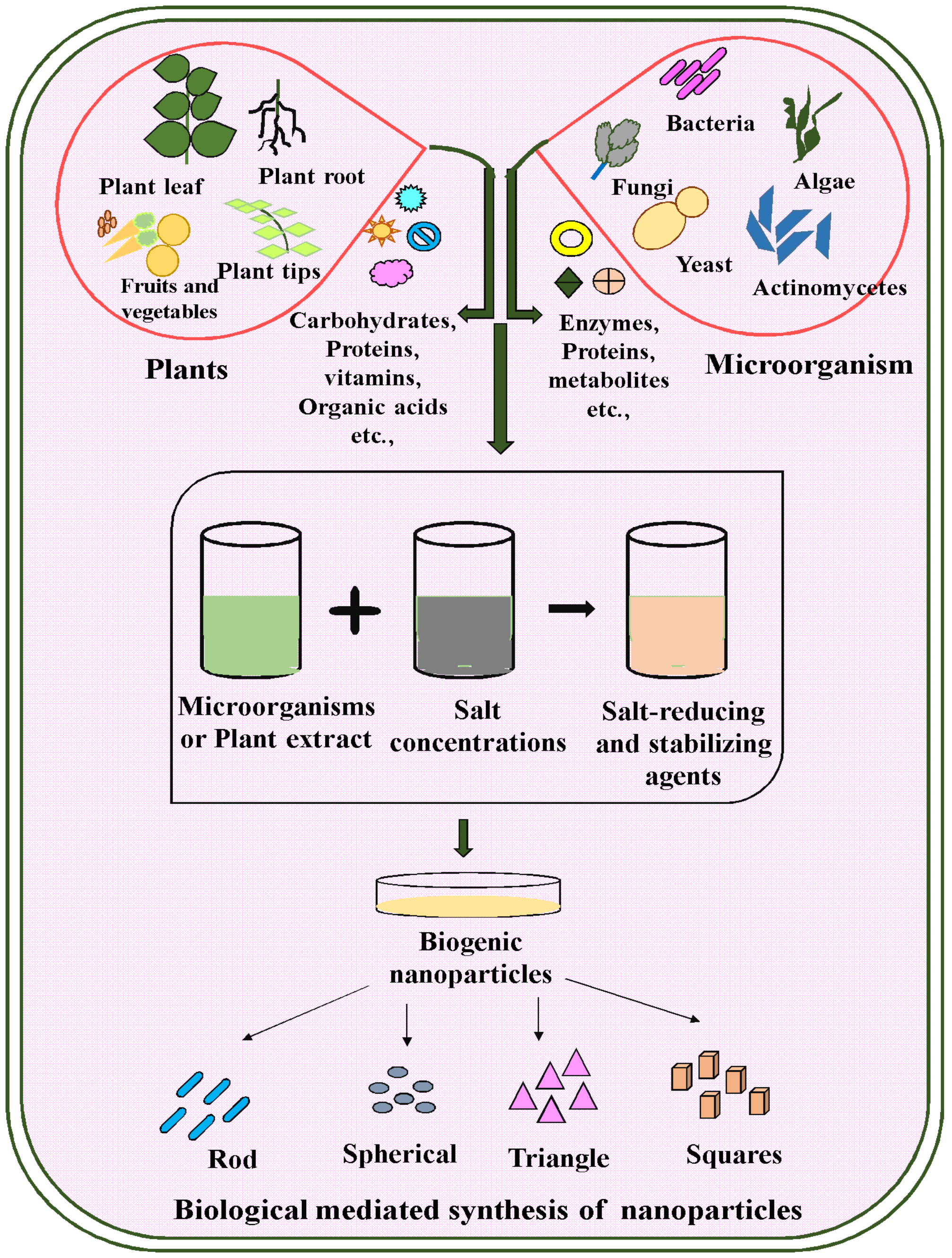 Molecules 28 04527 g003 Molecules 28 04527 g003