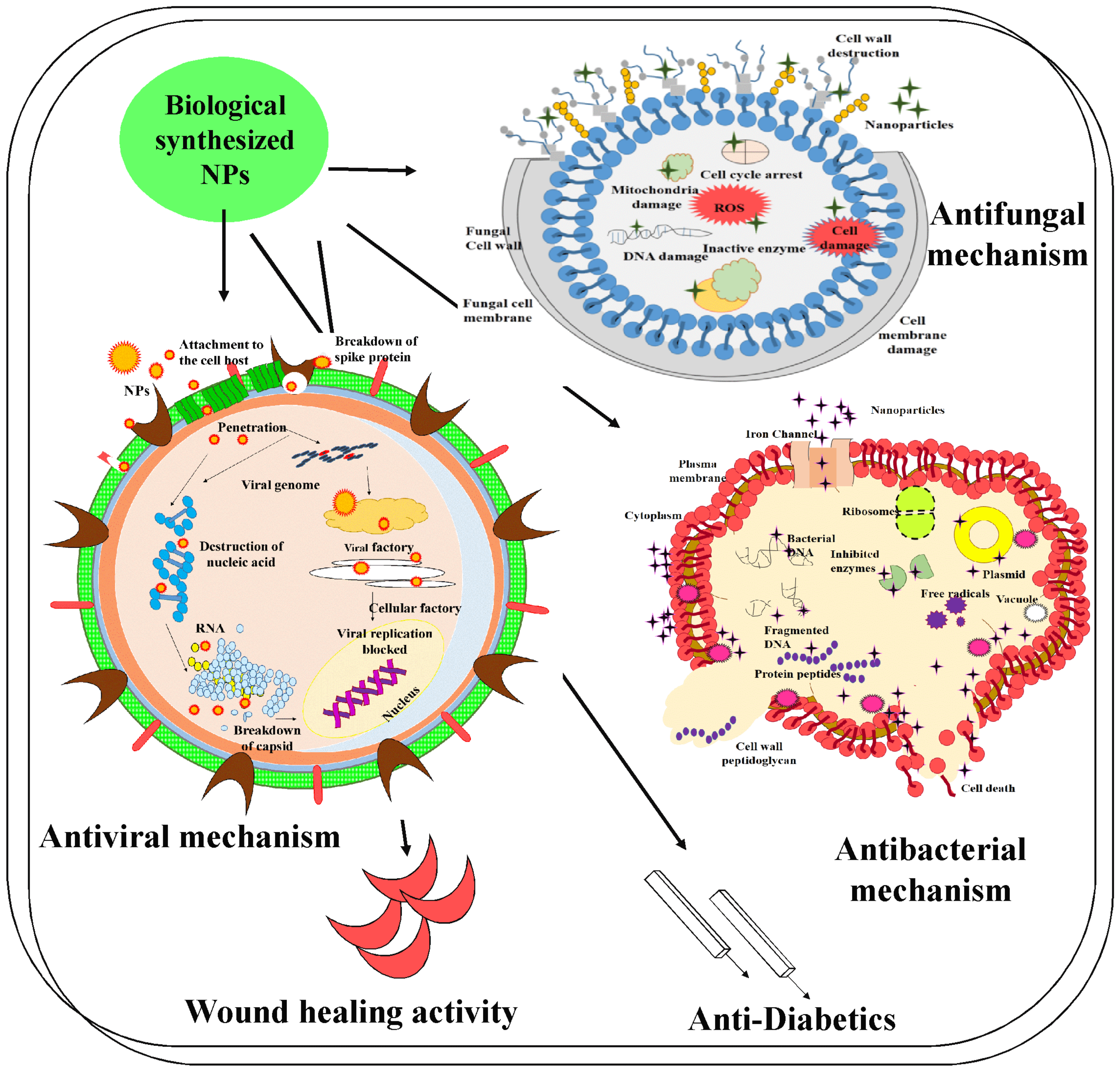 Molecules 28 04527 g004 Molecules 28 04527 g004