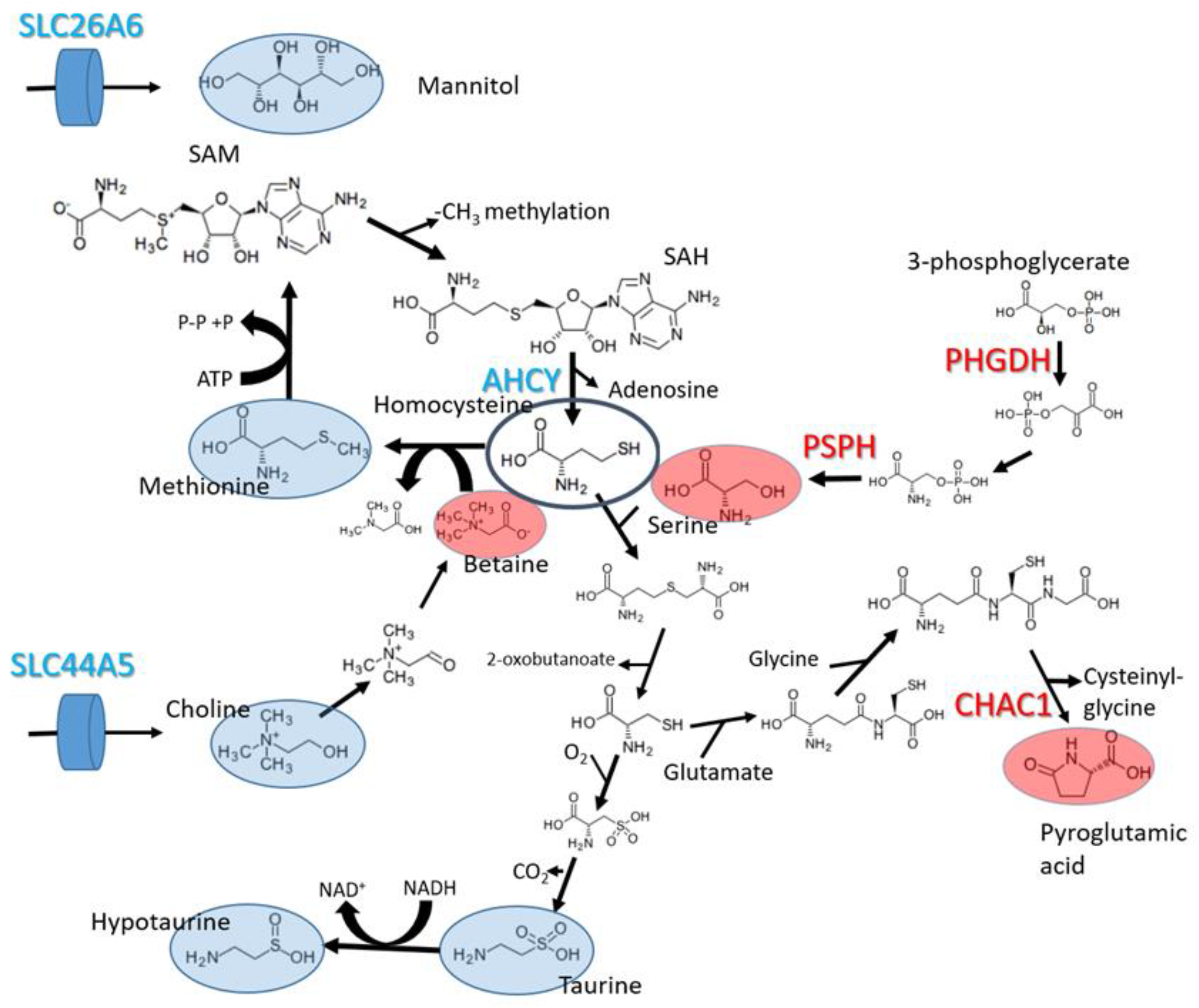 Molecules 28 04535 g005 Molecules 28 04535 g005