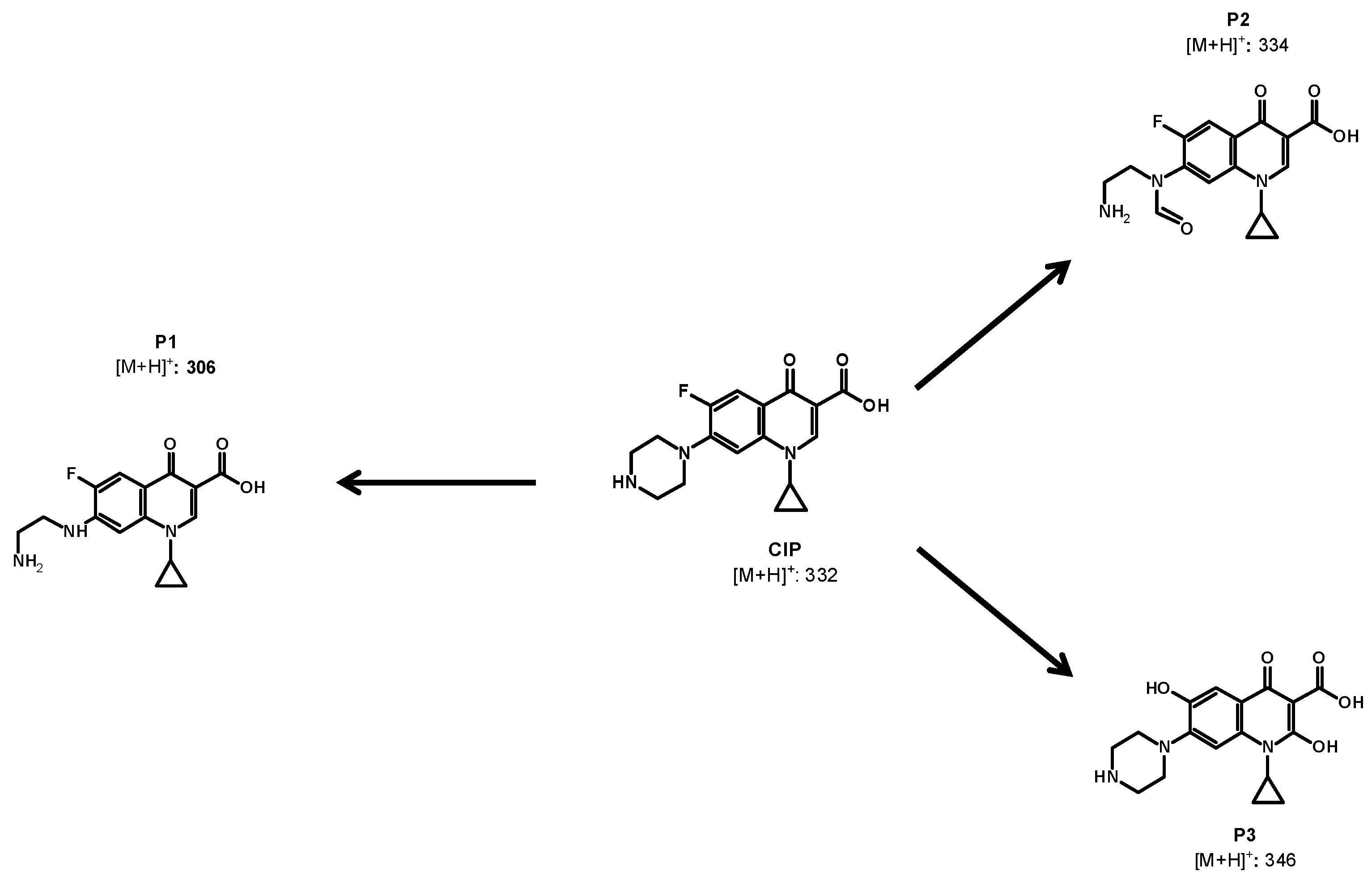 Molecules 28 04536 g006 Molecules 28 04536 g006