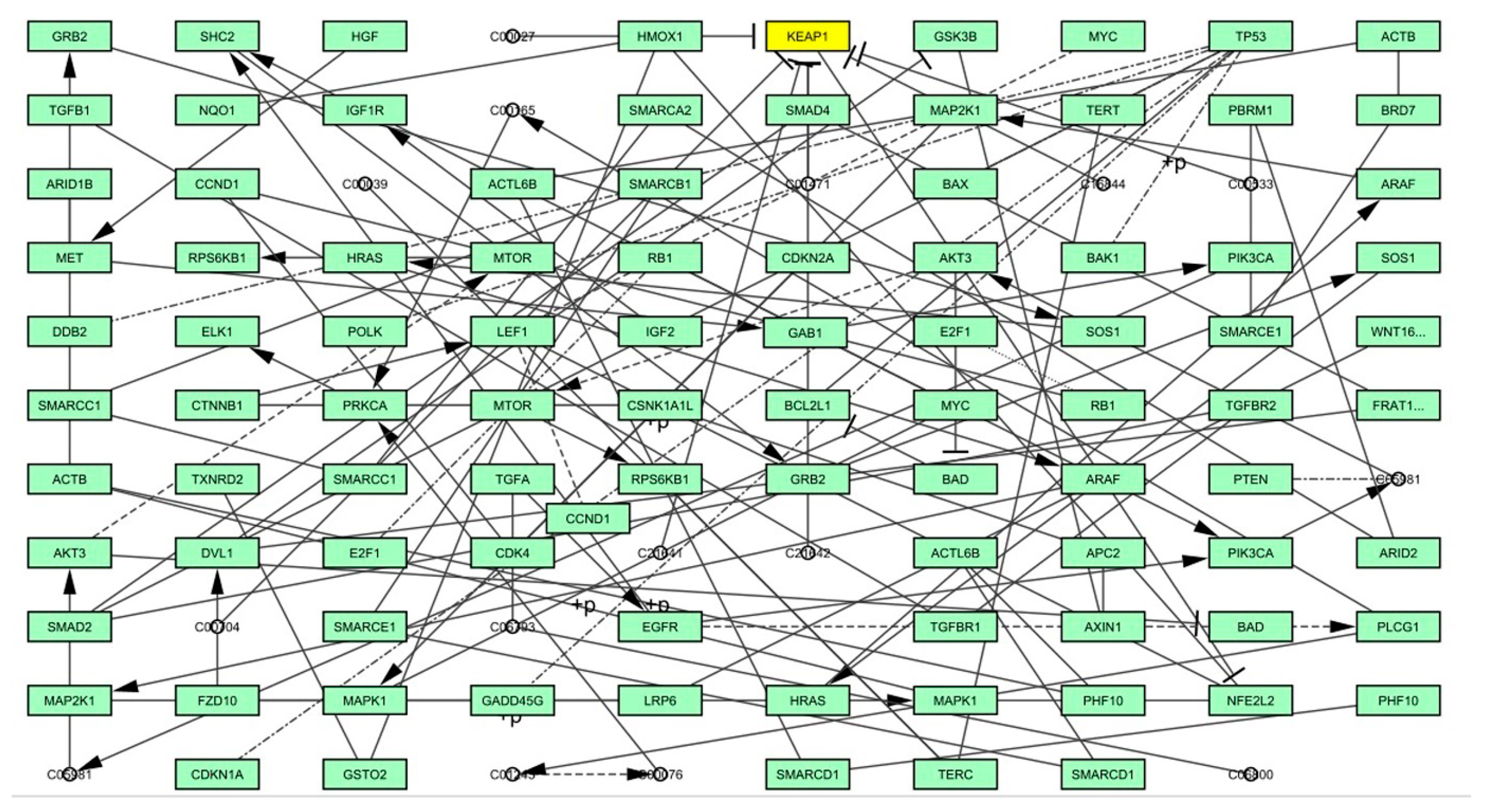 Molecules 28 04541 g014