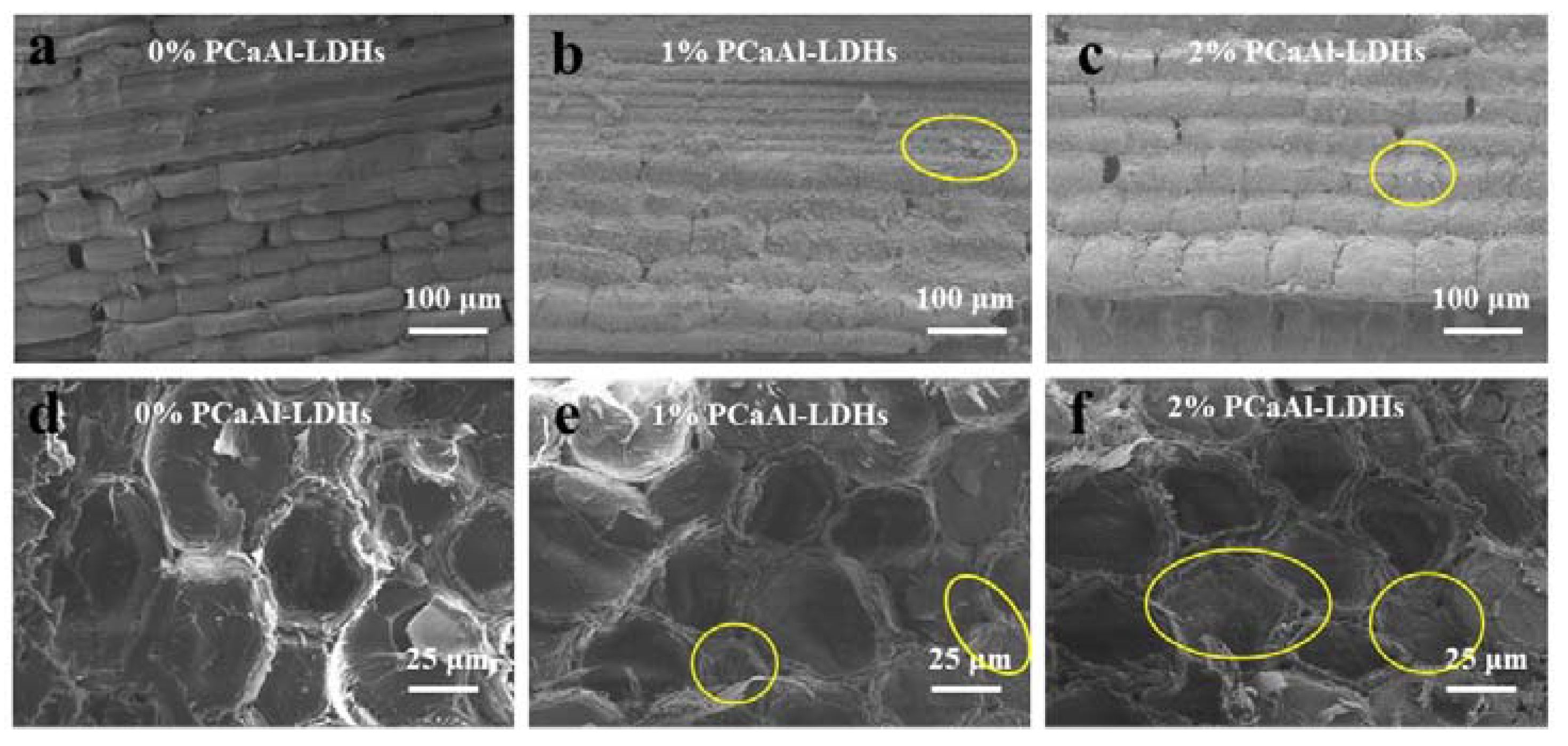 Molecules 28 04542 g002