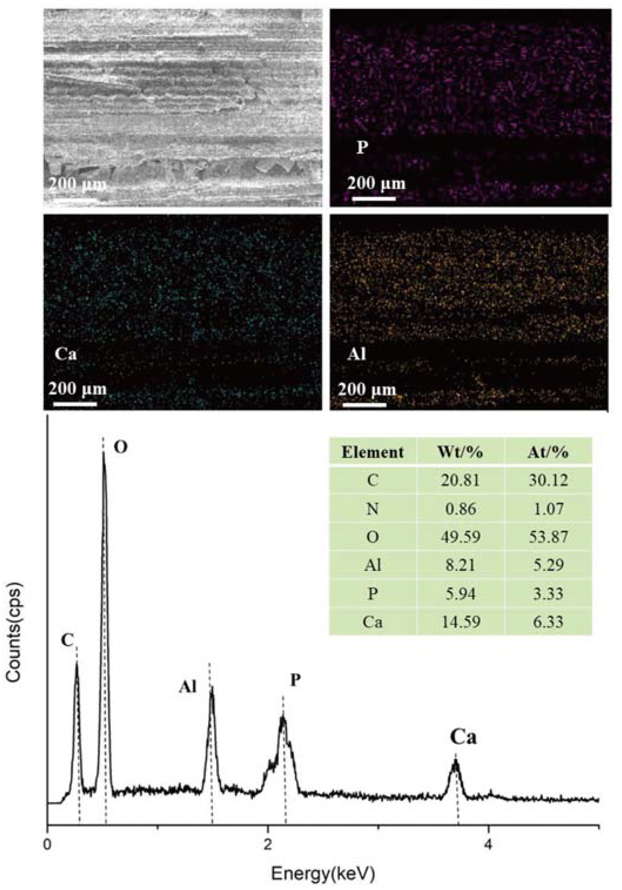 Molecules 28 04542 g003