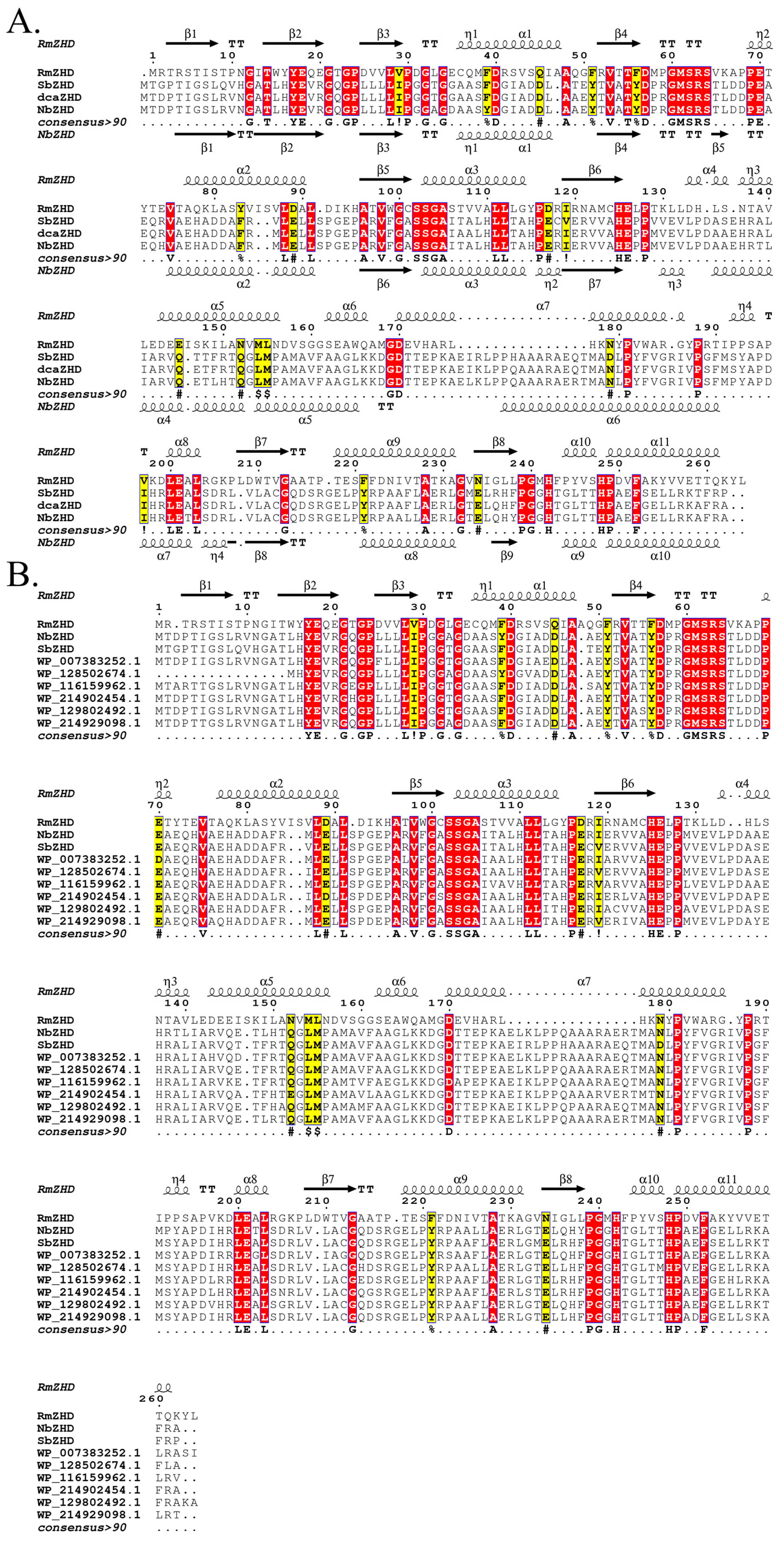 Molecules 28 04545 g001 Molecules 28 04545 g001