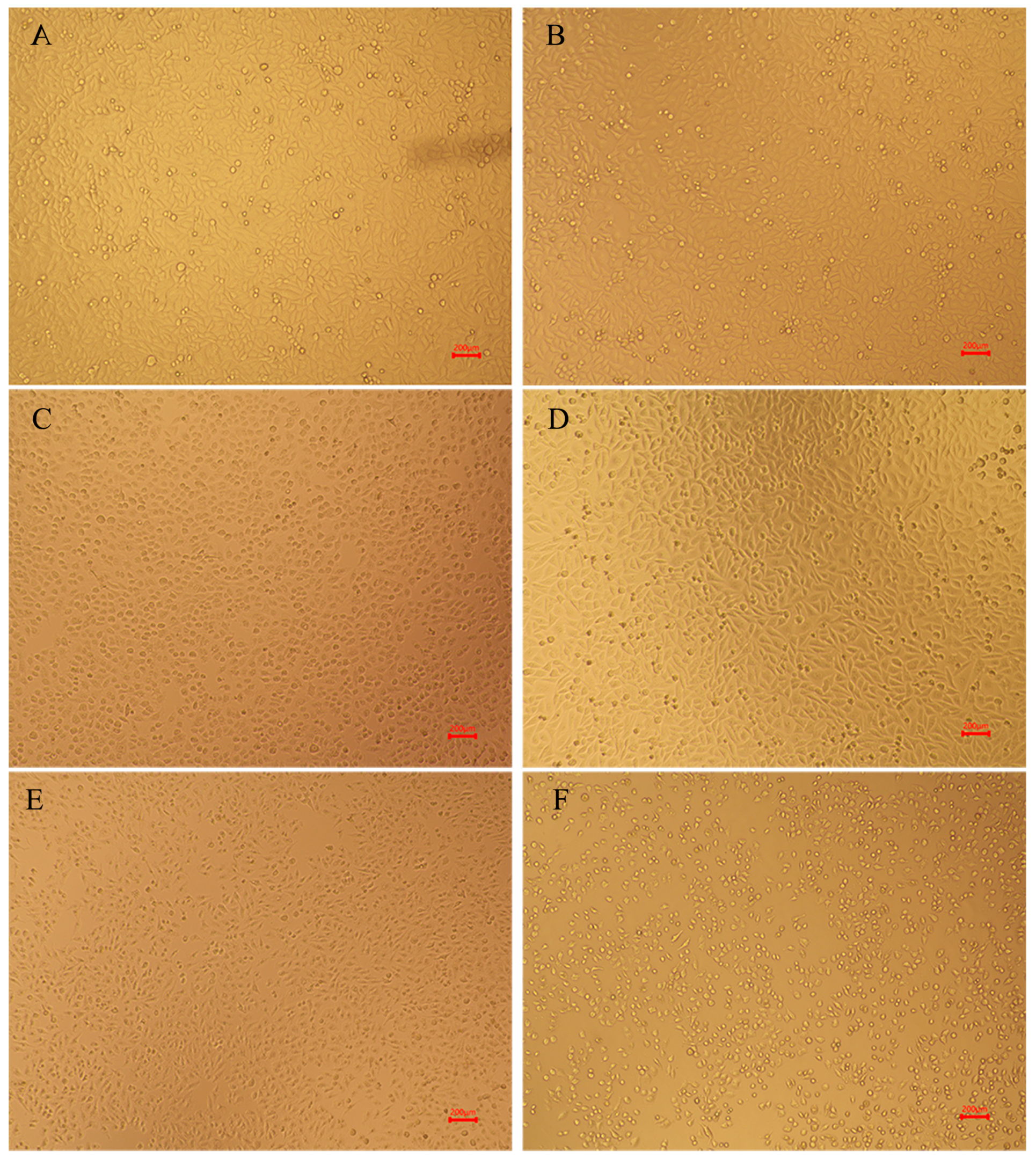 Molecules 28 04550 g005 Molecules 28 04550 g005