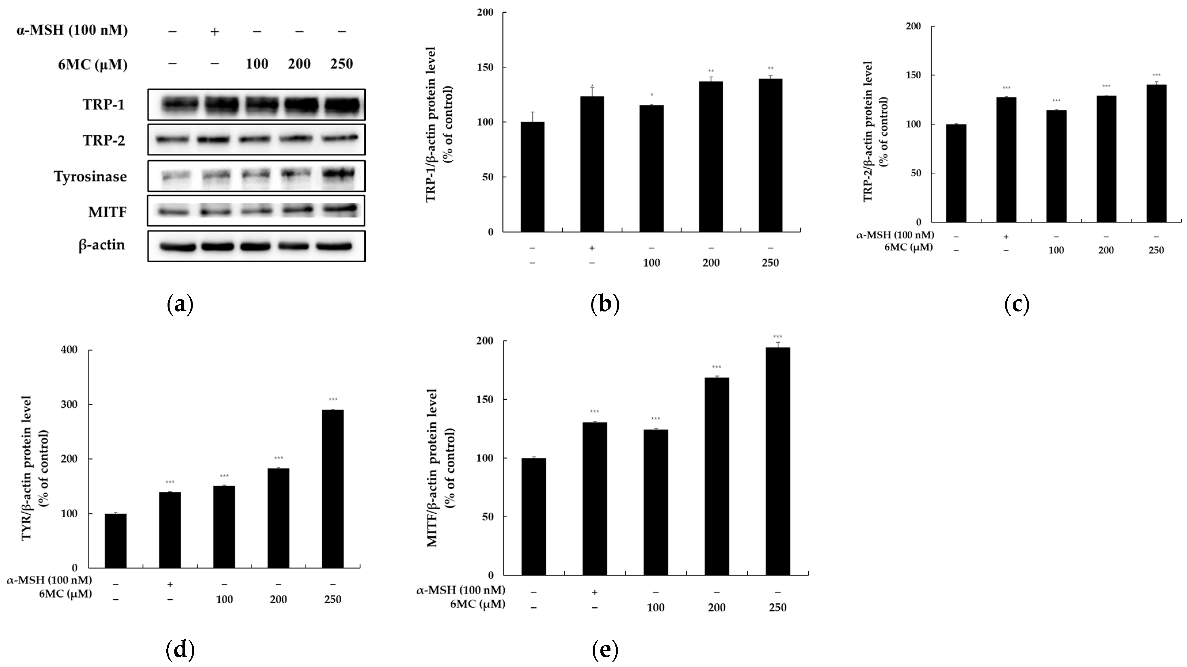 Molecules 28 04551 g003 Molecules 28 04551 g003