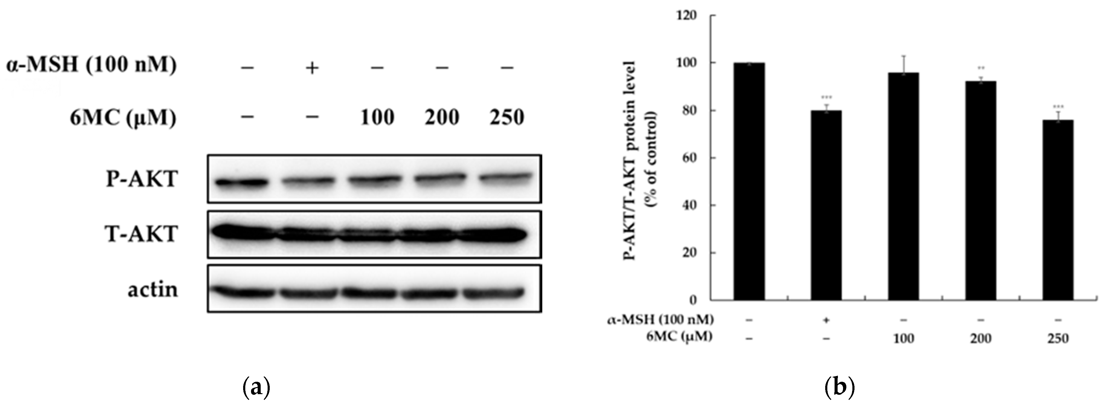 Molecules 28 04551 g005 Molecules 28 04551 g005