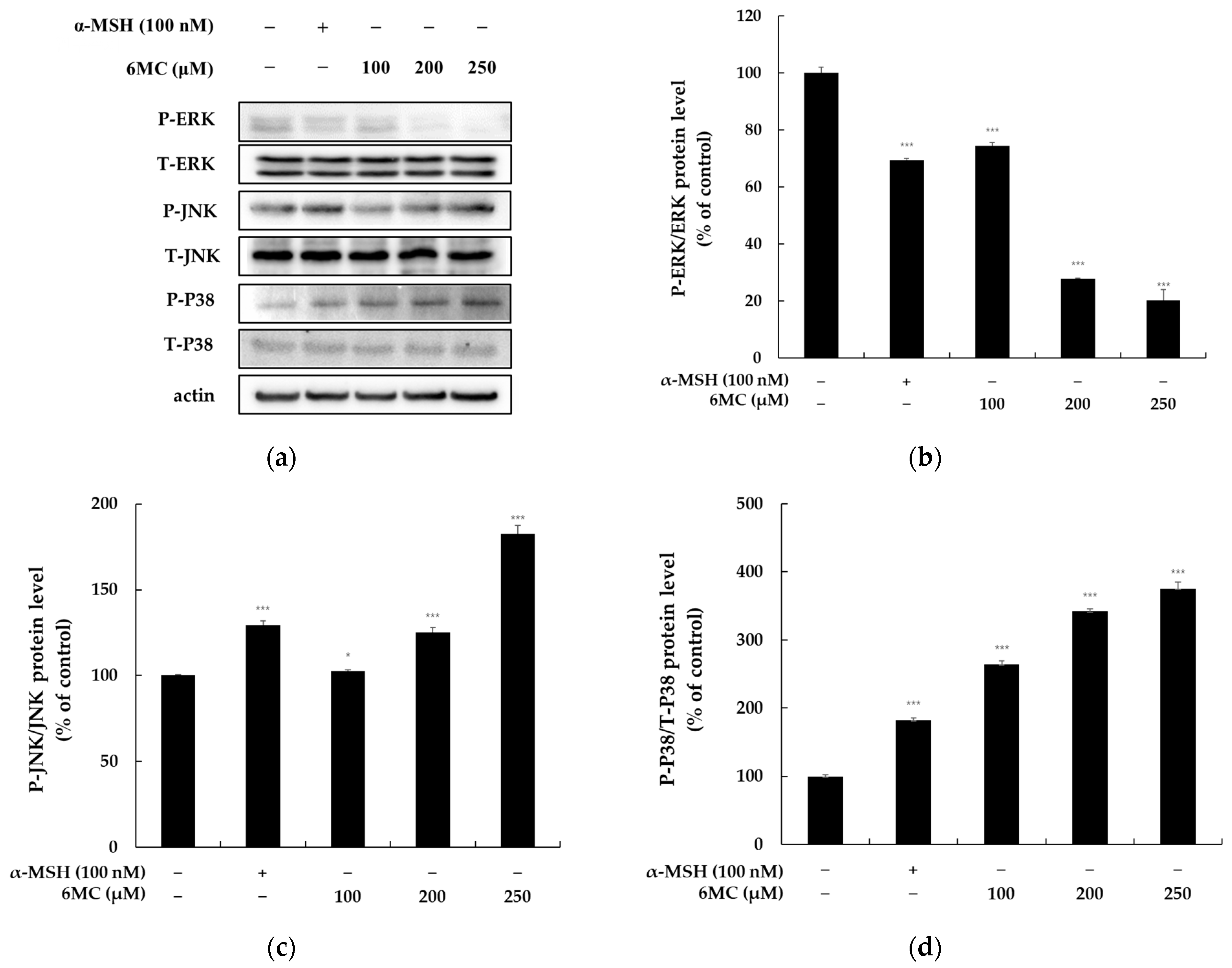Molecules 28 04551 g006 Molecules 28 04551 g006