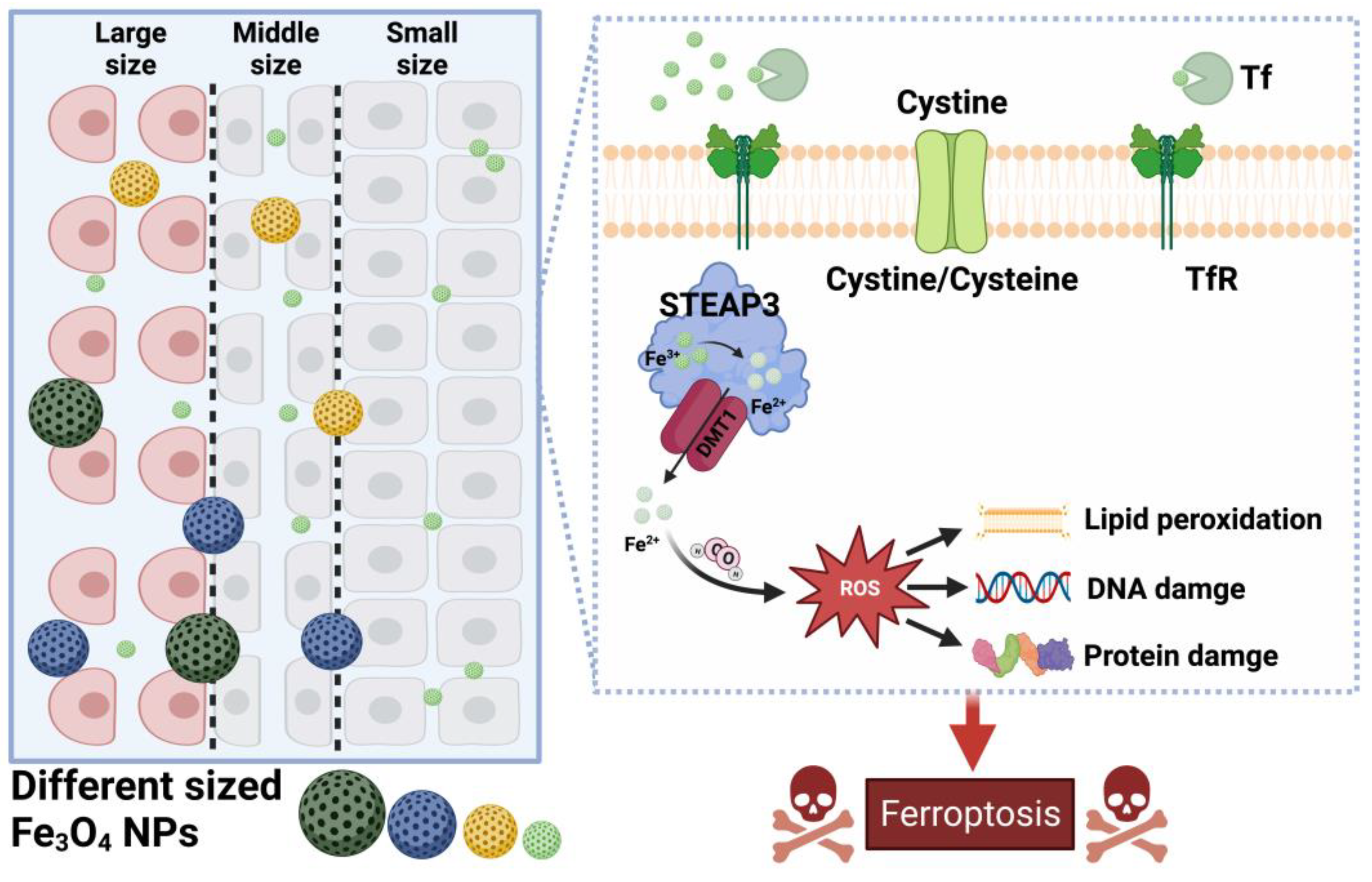 Molecules 28 04562 g003 Molecules 28 04562 g003