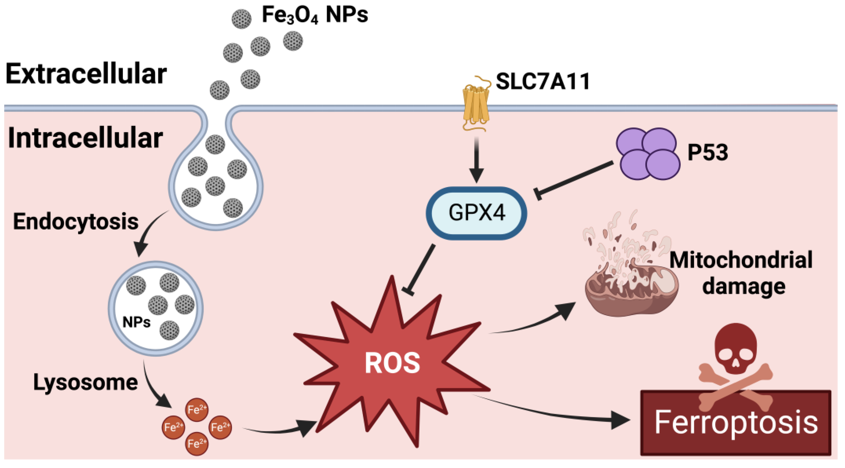 Molecules 28 04562 g004 Molecules 28 04562 g004