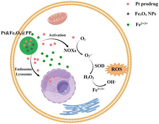 ダダ Progress in the Mechanism of the Effect of Fe3O4