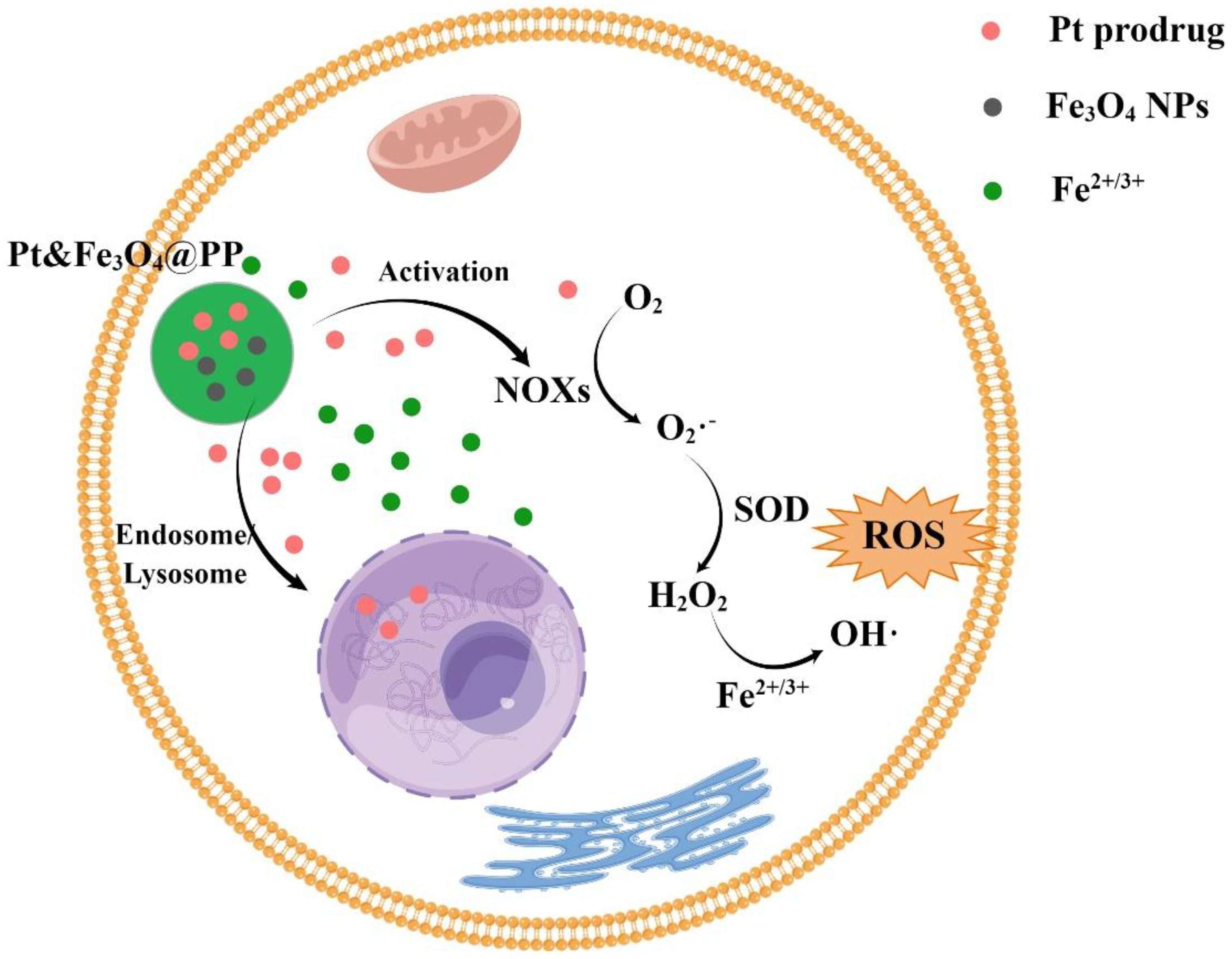Molecules 28 04562 g005 Molecules 28 04562 g005
