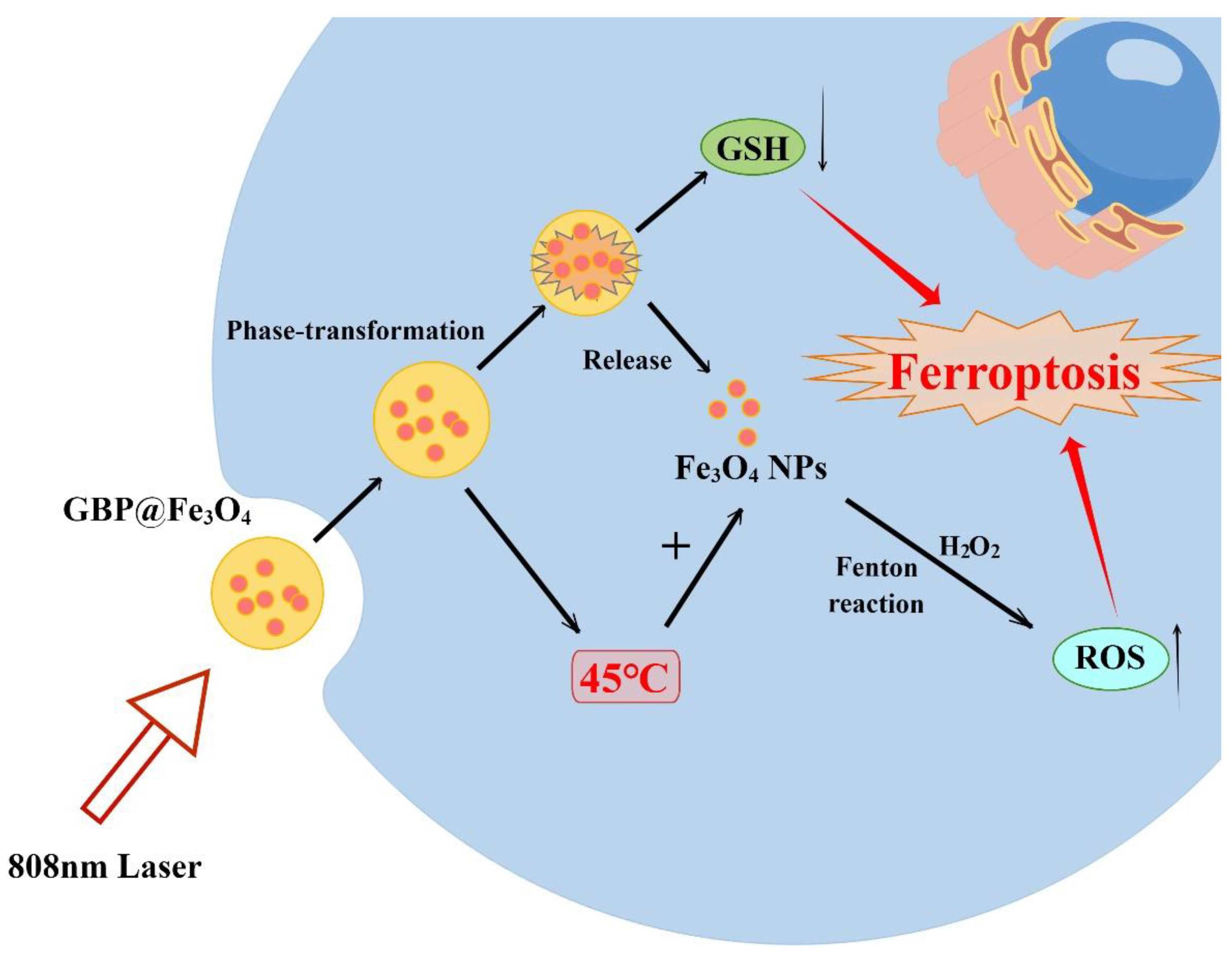 Molecules 28 04562 g008 Molecules 28 04562 g008